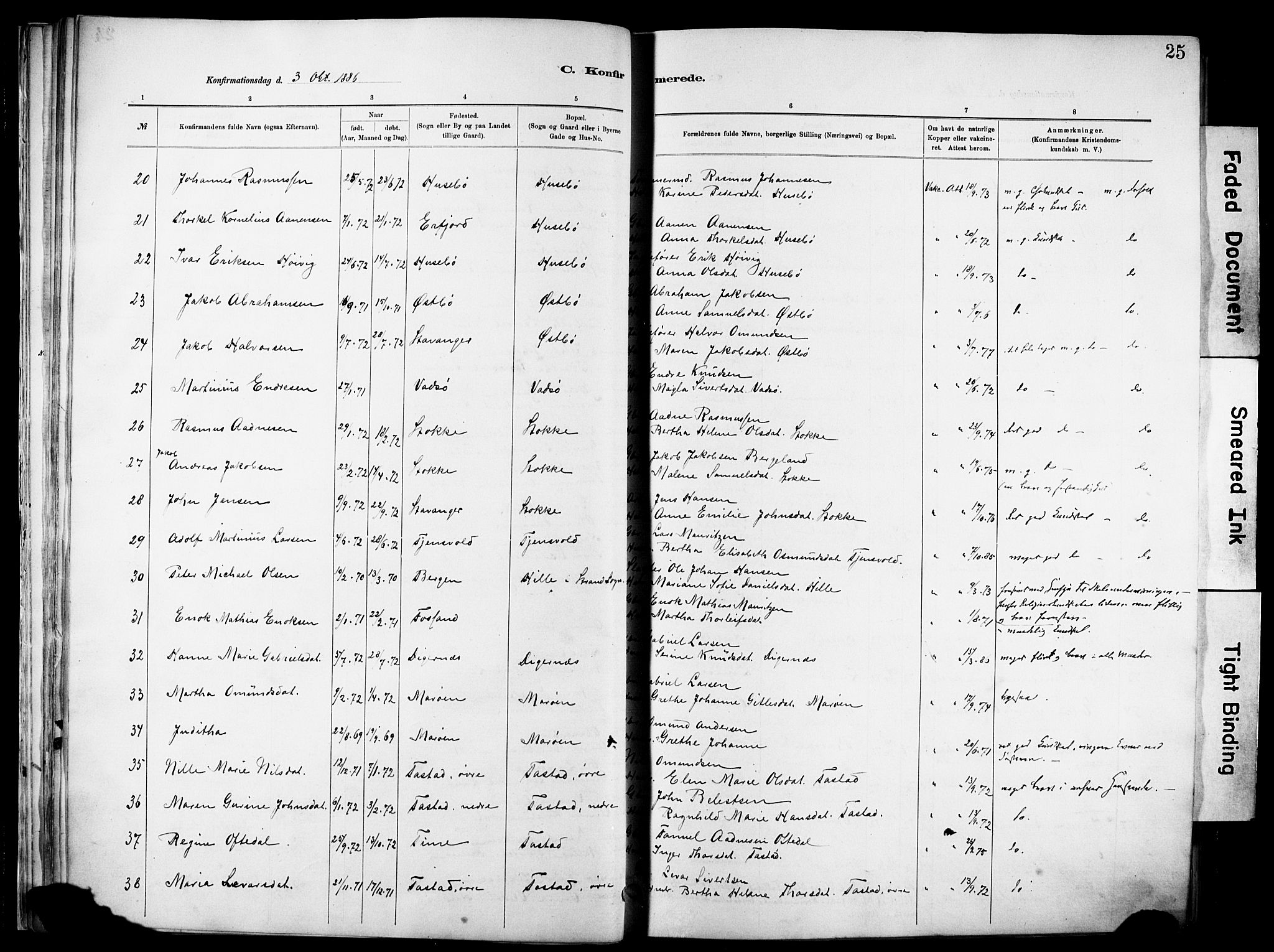 Hetland sokneprestkontor, AV/SAST-A-101826/30/30BA/L0012: Parish register (official) no. A 12, 1882-1912, p. 25