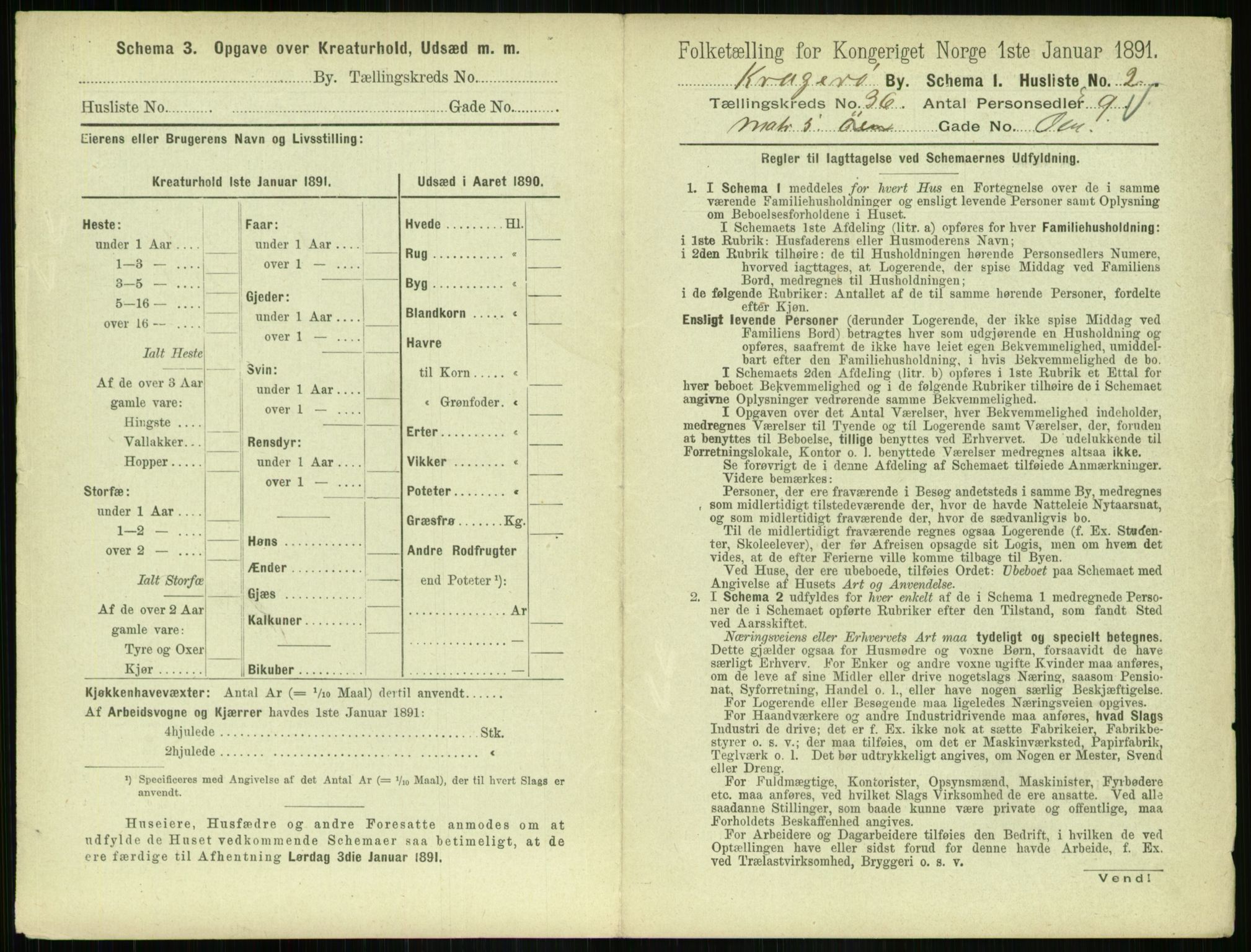 RA, 1891 census for 0801 Kragerø, 1891, p. 1354