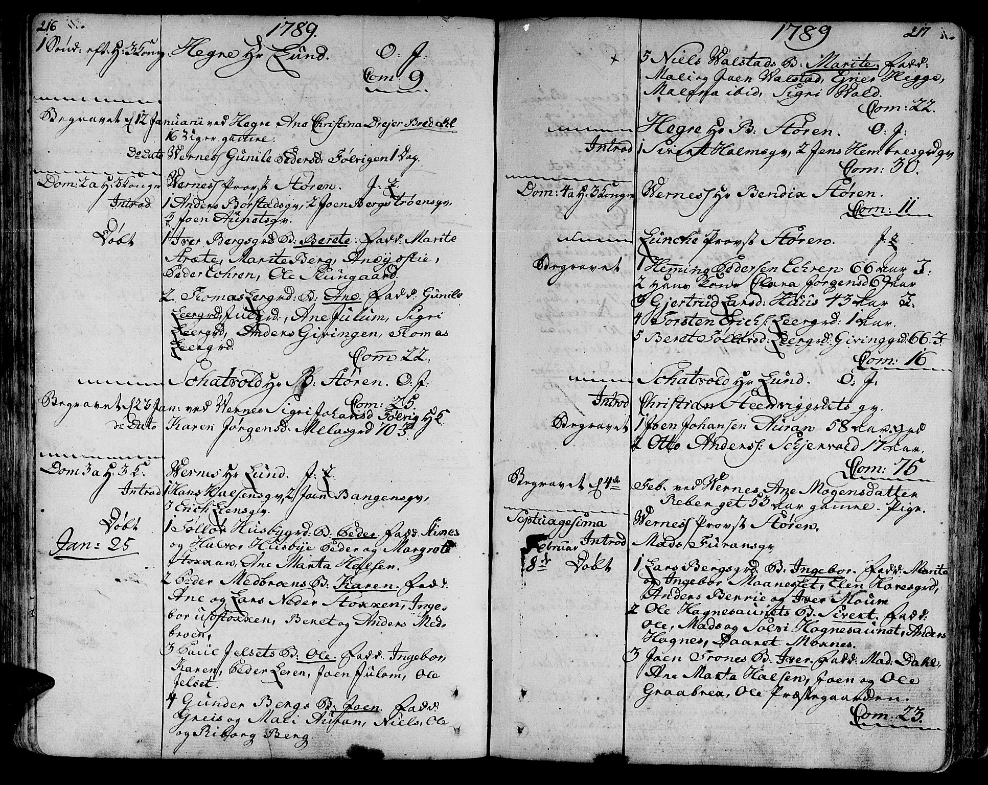 Ministerialprotokoller, klokkerbøker og fødselsregistre - Nord-Trøndelag, SAT/A-1458/709/L0059: Parish register (official) no. 709A06, 1781-1797, p. 216-217
