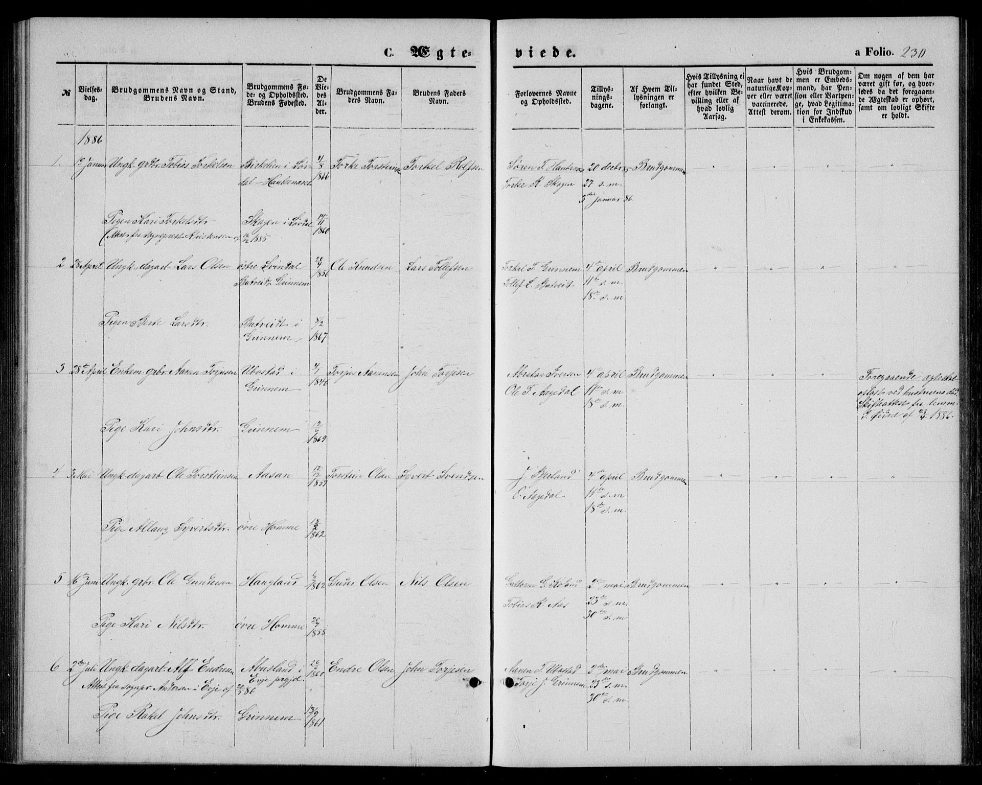 Bjelland sokneprestkontor, AV/SAK-1111-0005/F/Fb/Fba/L0004: Parish register (copy) no. B 4, 1869-1886, p. 230