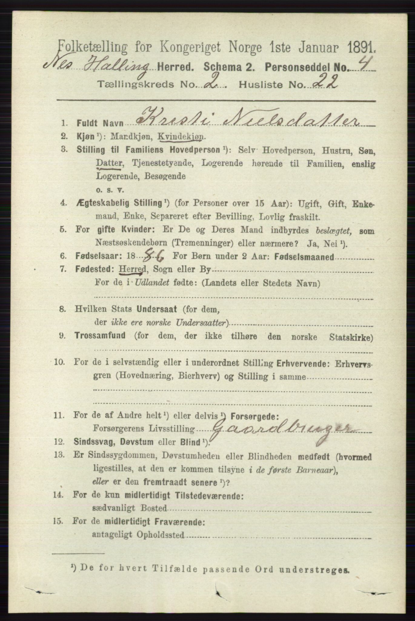 RA, 1891 census for 0616 Nes, 1891, p. 1103