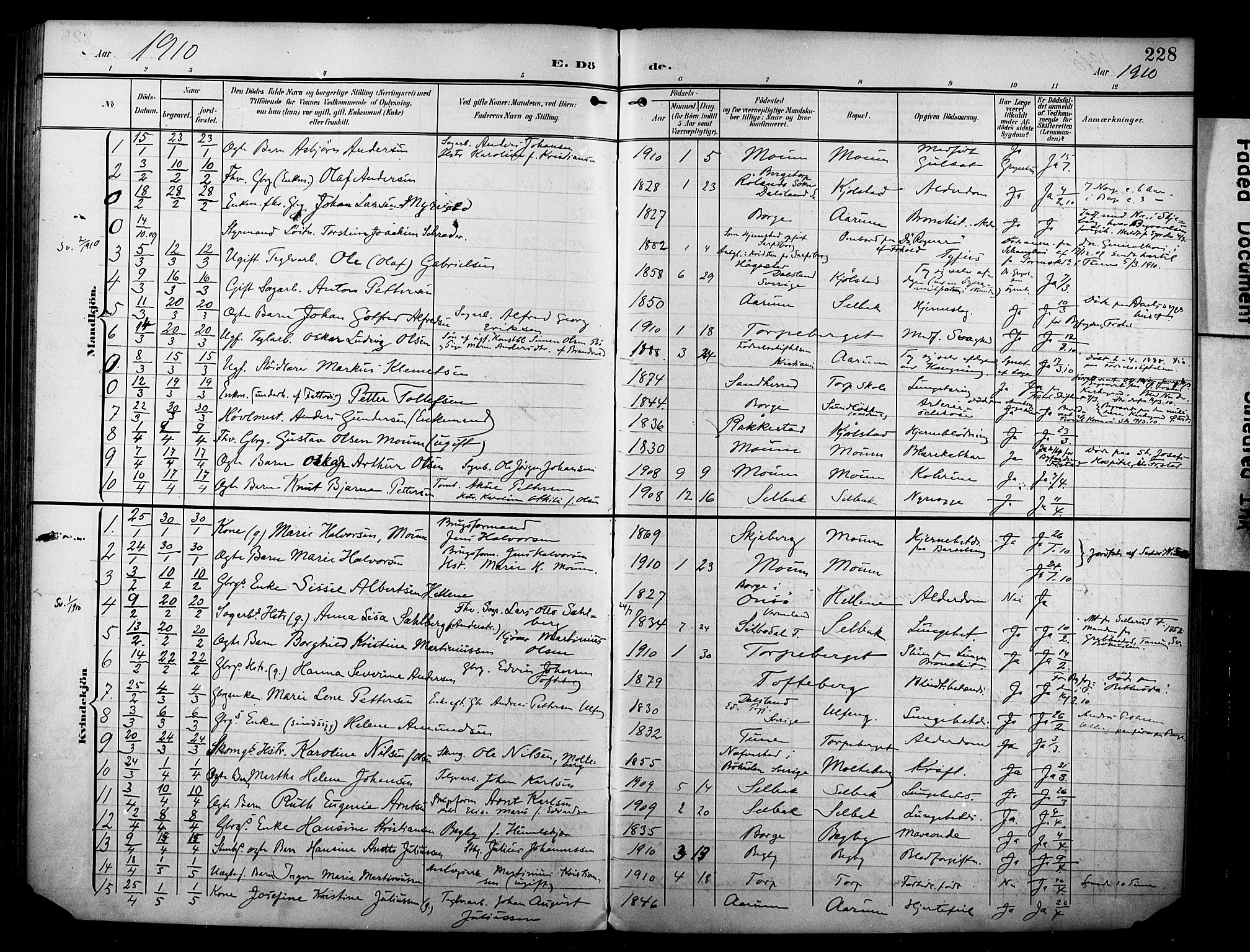 Borge prestekontor Kirkebøker, AV/SAO-A-10903/F/Fa/L0009: Parish register (official) no. I 9, 1902-1911, p. 228