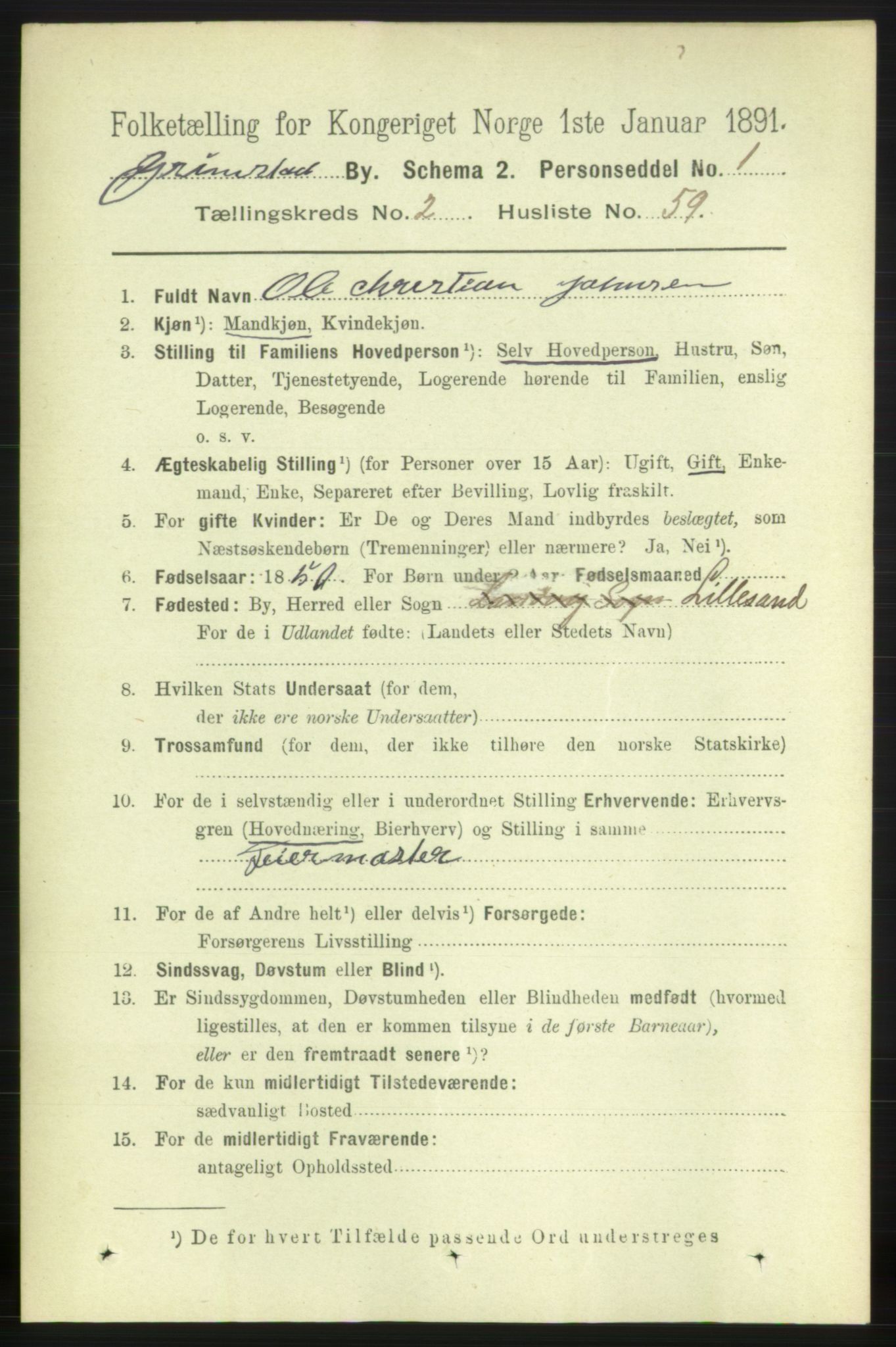 RA, 1891 census for 0904 Grimstad, 1891, p. 1904