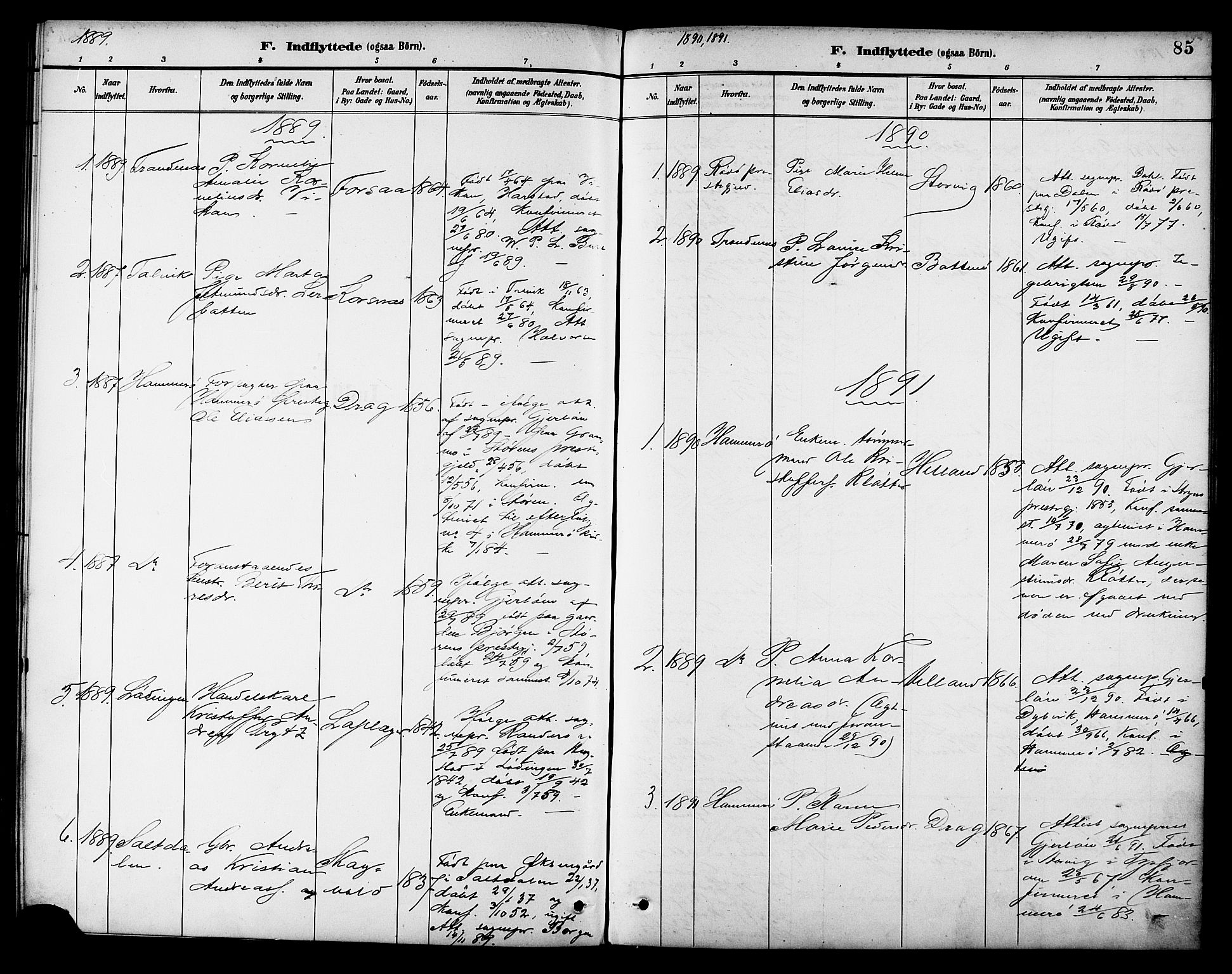 Ministerialprotokoller, klokkerbøker og fødselsregistre - Nordland, AV/SAT-A-1459/861/L0870: Parish register (official) no. 861A05, 1889-1903, p. 85