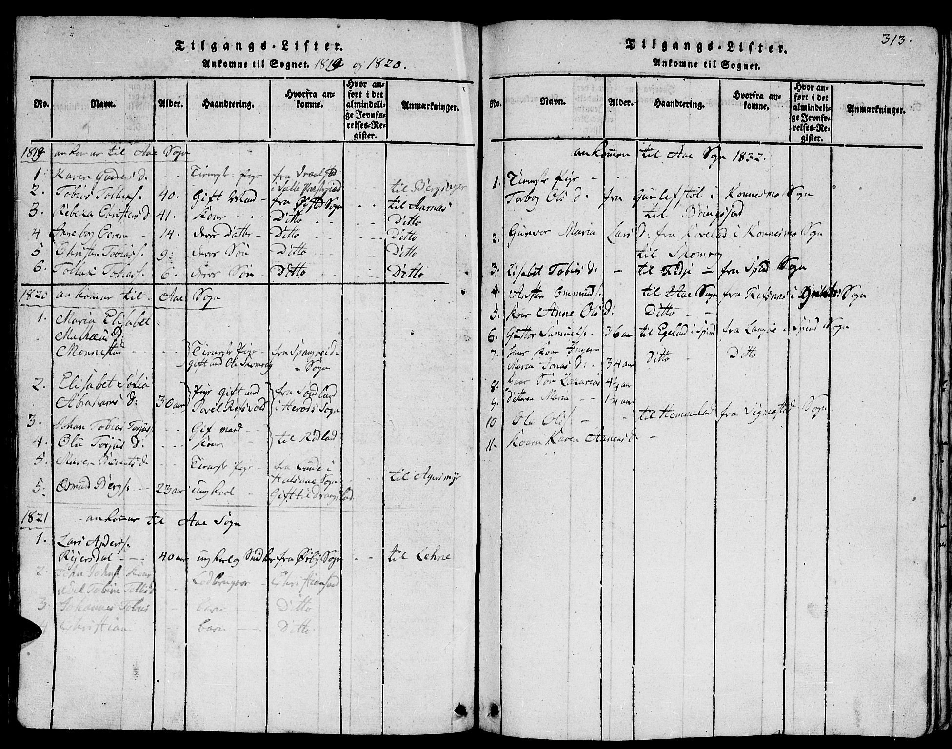 Lyngdal sokneprestkontor, SAK/1111-0029/F/Fb/Fbc/L0001: Parish register (copy) no. B 1, 1815-1844, p. 313