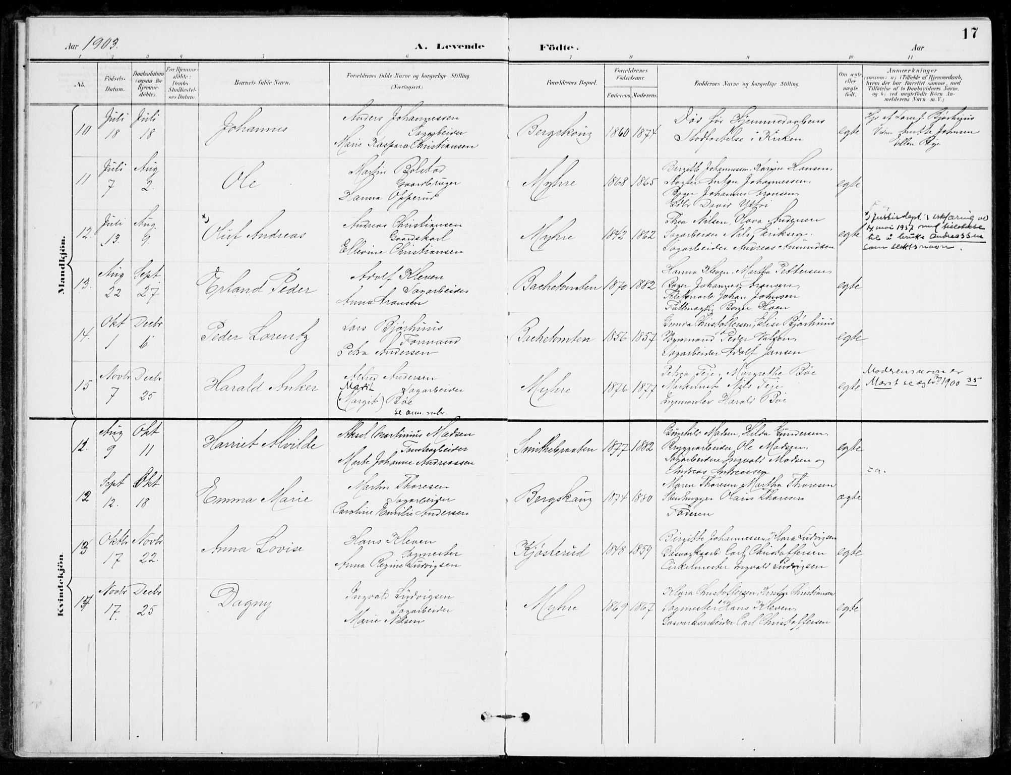 Åssiden kirkebøker, AV/SAKO-A-251/F/Fa/L0002: Parish register (official) no. 2, 1896-1916, p. 17