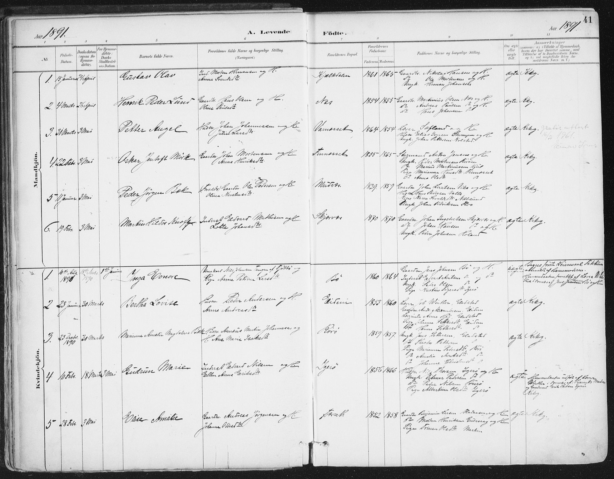 Ministerialprotokoller, klokkerbøker og fødselsregistre - Nordland, AV/SAT-A-1459/816/L0244: Parish register (official) no. 816A10, 1886-1903, p. 41