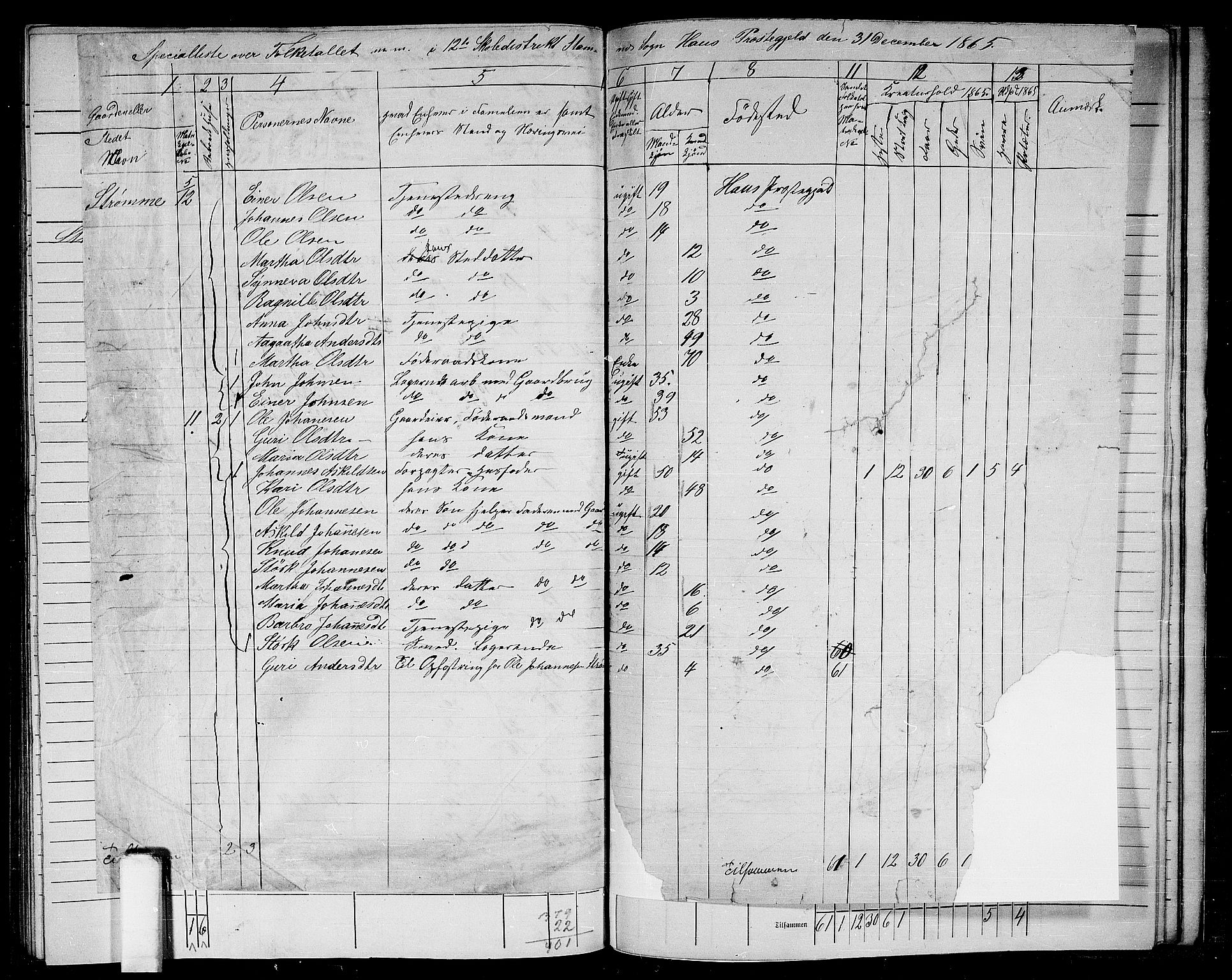 RA, 1865 census for Haus, 1865, p. 248