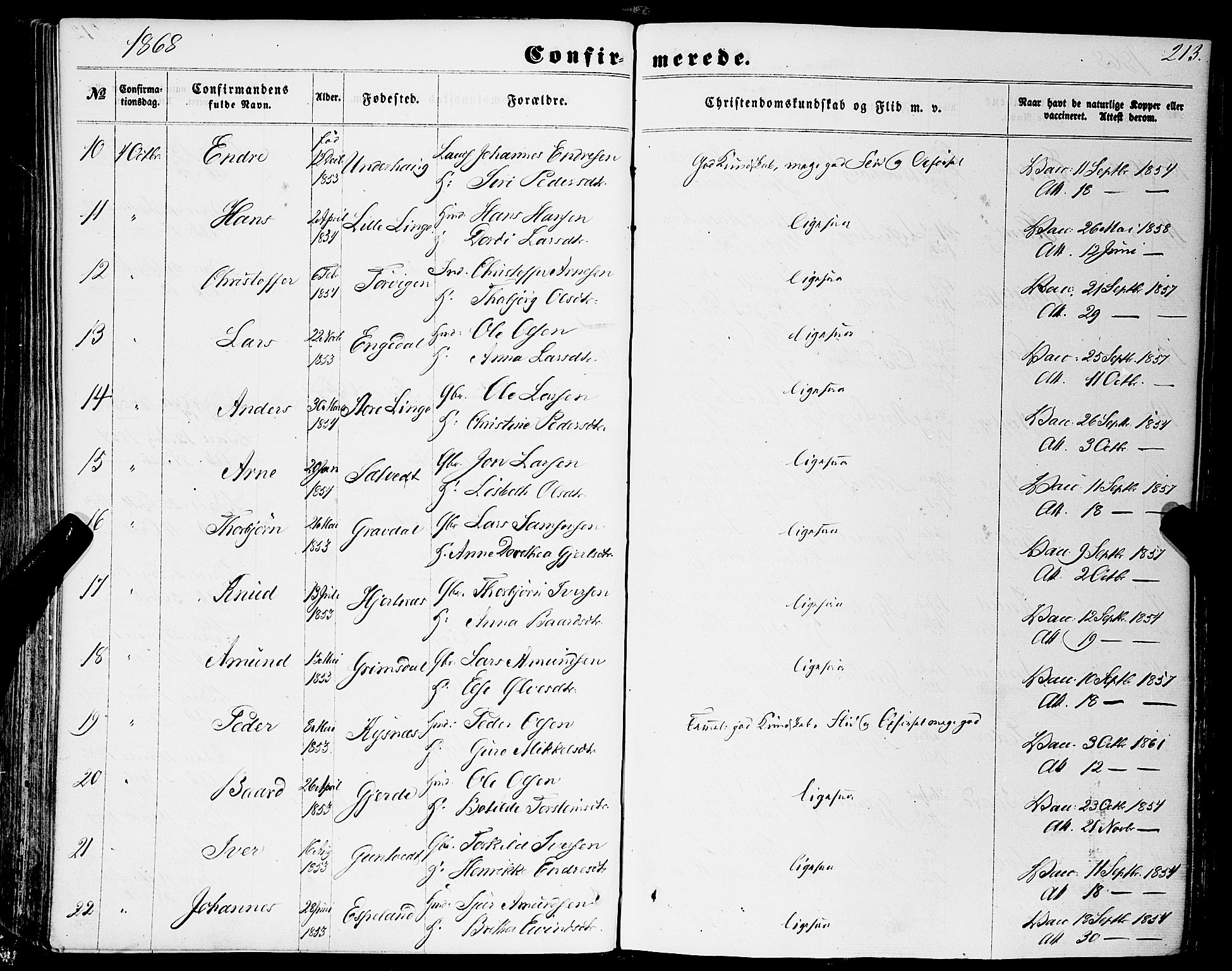 Strandebarm sokneprestembete, AV/SAB-A-78401/H/Haa: Parish register (official) no. A 8, 1858-1872, p. 213