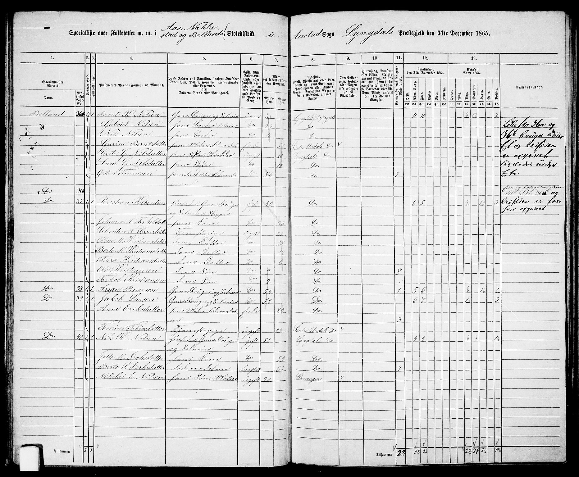 RA, 1865 census for Lyngdal, 1865, p. 43