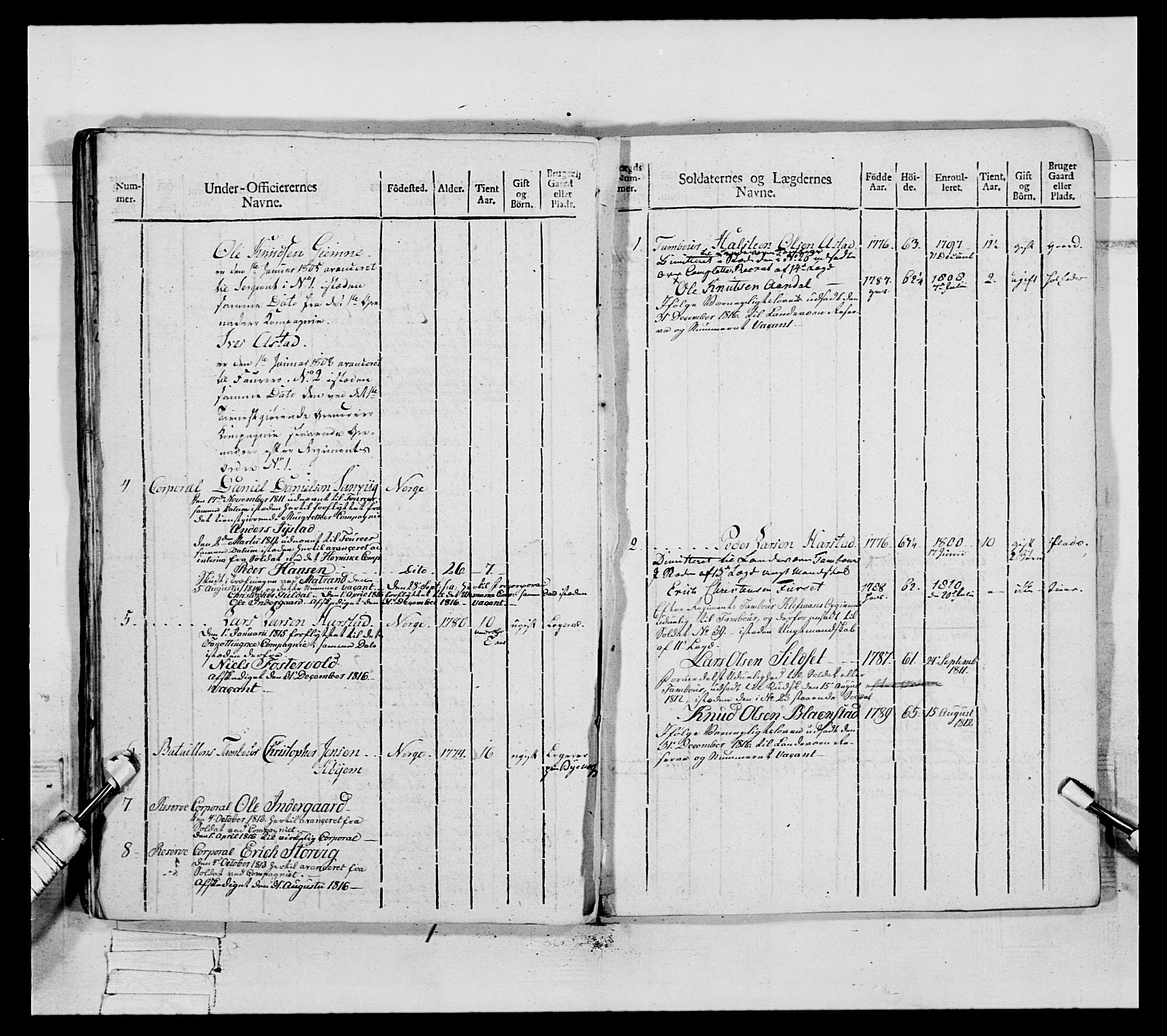 Generalitets- og kommissariatskollegiet, Det kongelige norske kommissariatskollegium, RA/EA-5420/E/Eh/L0083a: 2. Trondheimske nasjonale infanteriregiment, 1810, p. 301