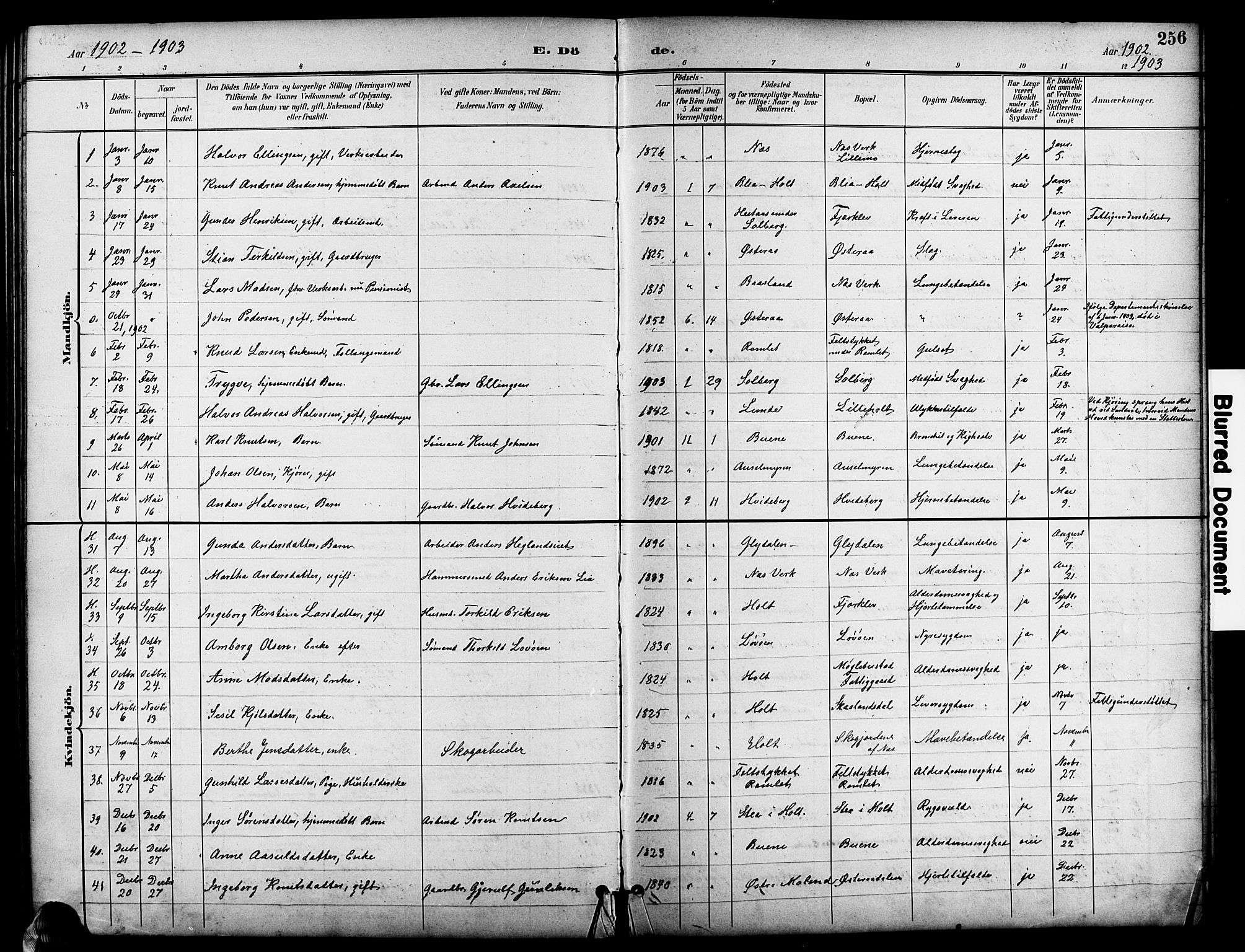 Holt sokneprestkontor, SAK/1111-0021/F/Fb/L0011: Parish register (copy) no. B 11, 1897-1921, p. 256