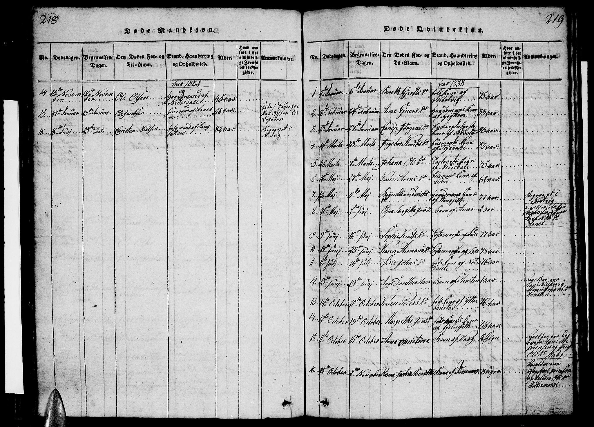 Ministerialprotokoller, klokkerbøker og fødselsregistre - Nordland, SAT/A-1459/812/L0186: Parish register (copy) no. 812C04, 1820-1849, p. 218-219