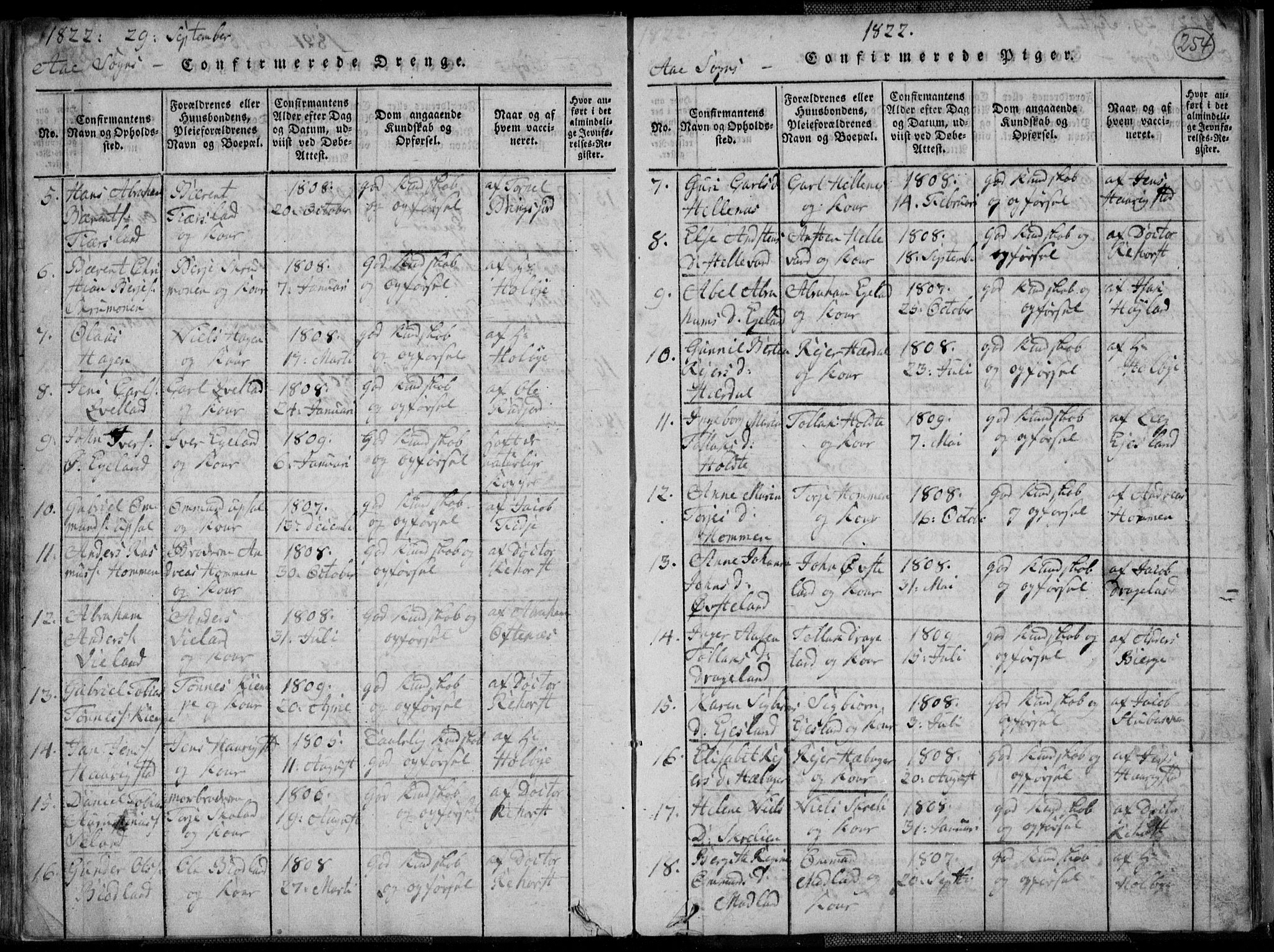 Lyngdal sokneprestkontor, SAK/1111-0029/F/Fa/Fac/L0006: Parish register (official) no. A 6, 1815-1825, p. 254