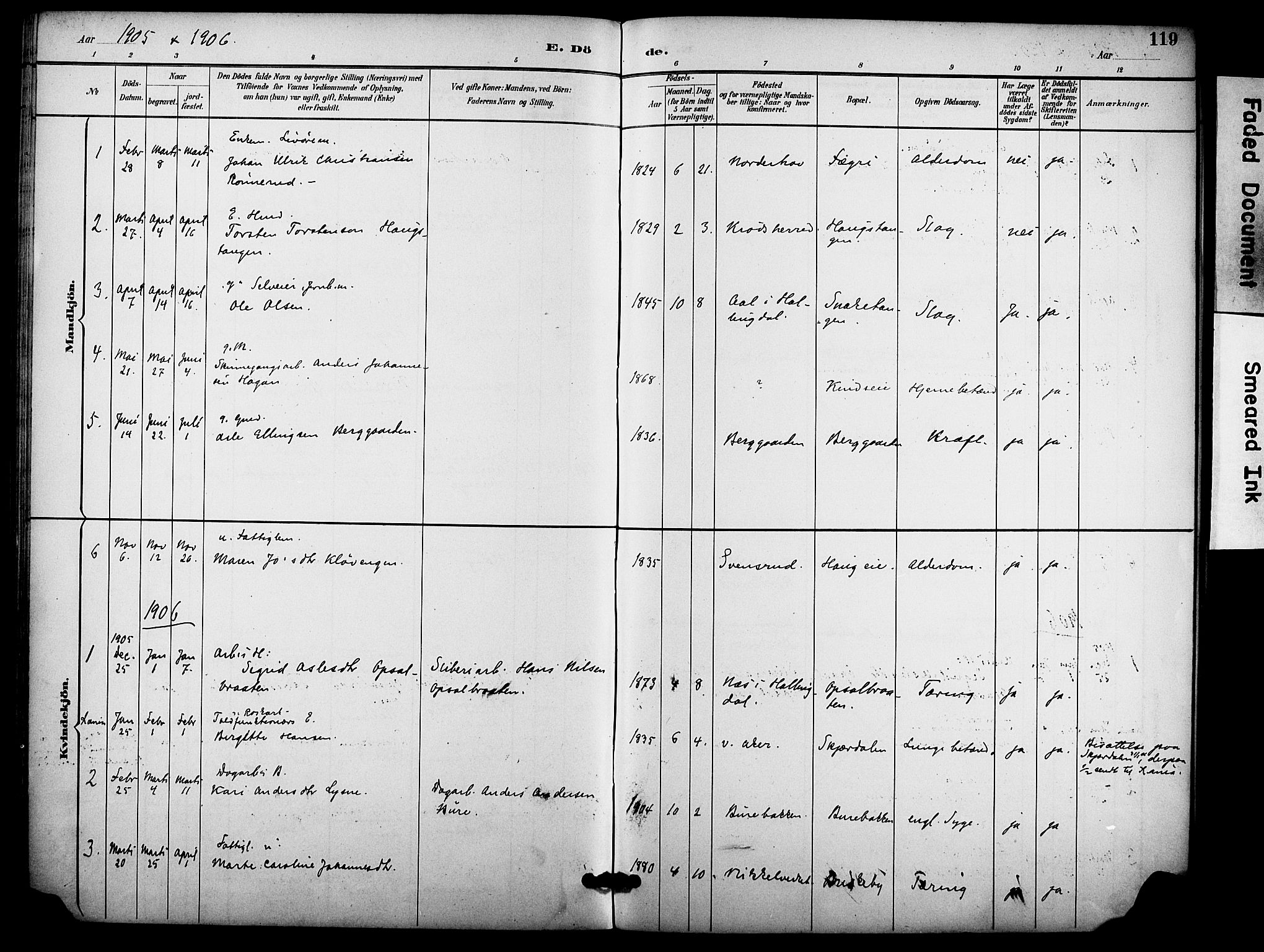 Hole kirkebøker, AV/SAKO-A-228/F/Fb/L0002: Parish register (official) no. II 2, 1892-1906, p. 119