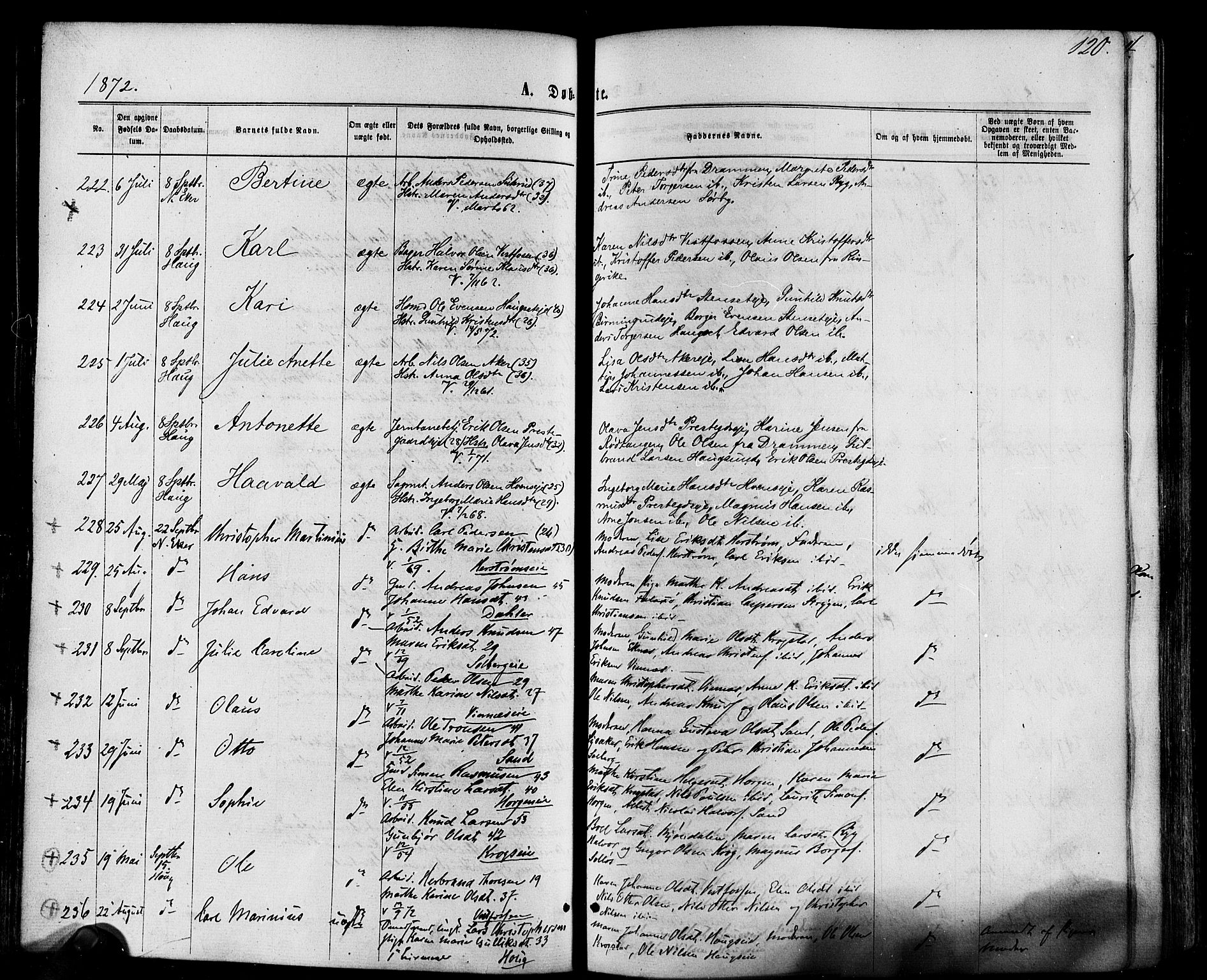Eiker kirkebøker, AV/SAKO-A-4/F/Fa/L0017: Parish register (official) no. I 17, 1869-1877, p. 120