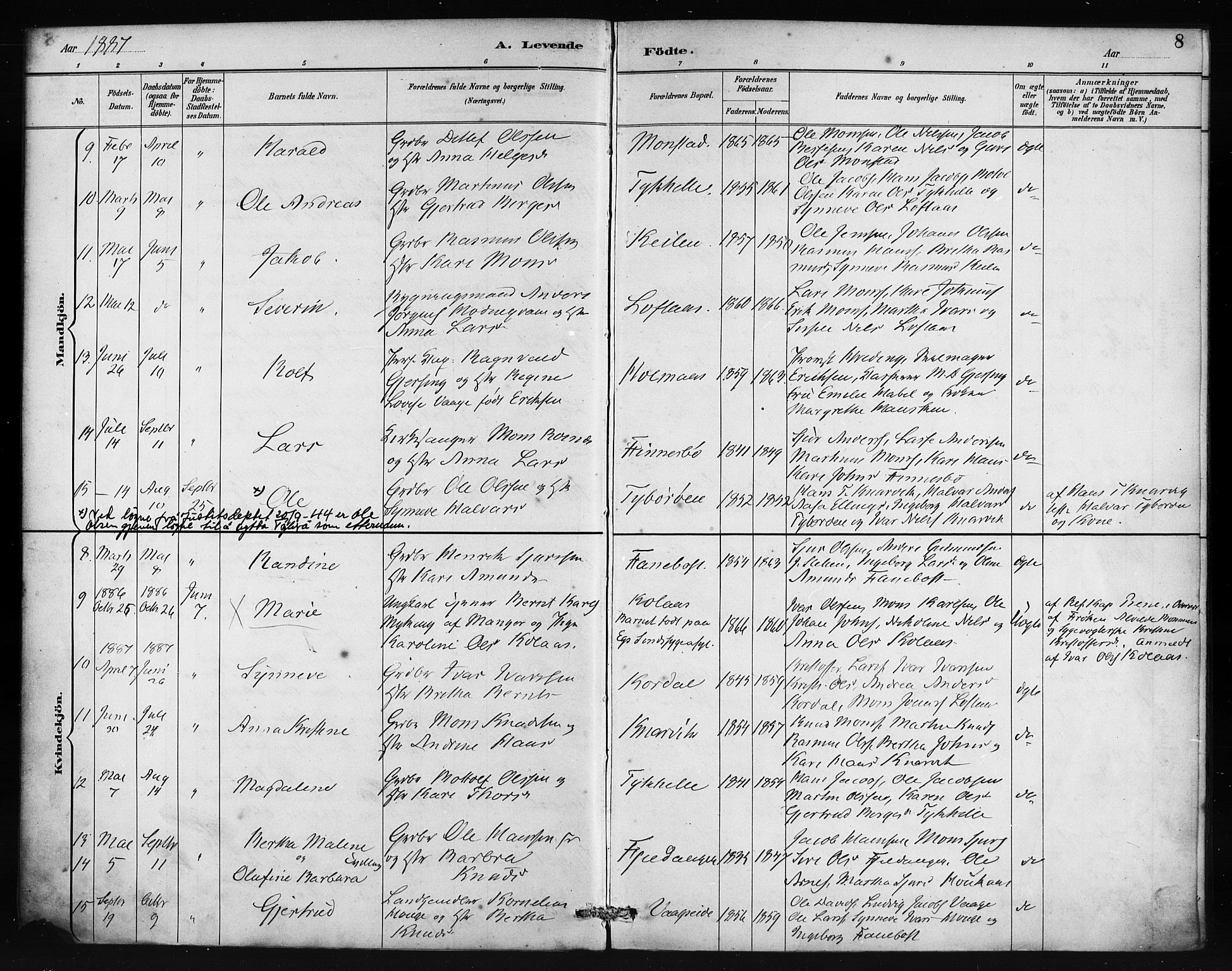 Lindås Sokneprestembete, SAB/A-76701/H/Haa: Parish register (official) no. B 1, 1886-1900, p. 8