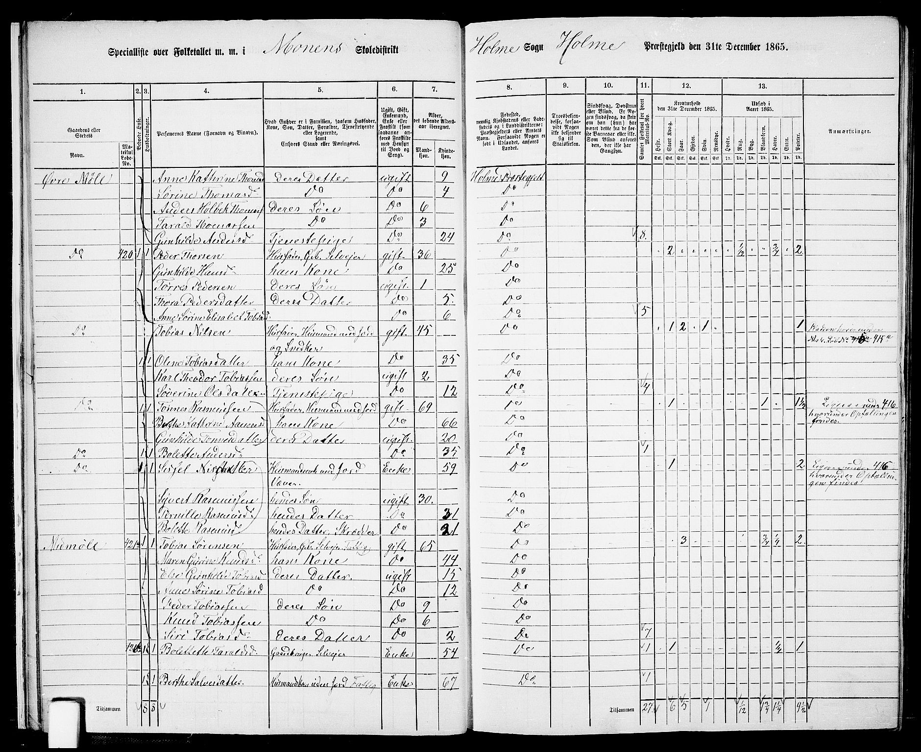 RA, 1865 census for Holum, 1865, p. 18