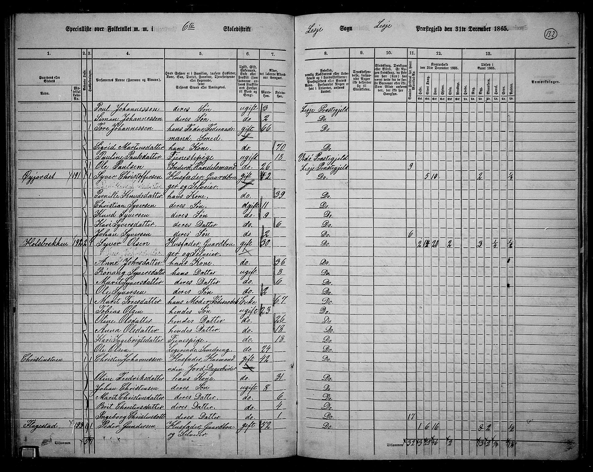 RA, 1865 census for Lesja, 1865, p. 119
