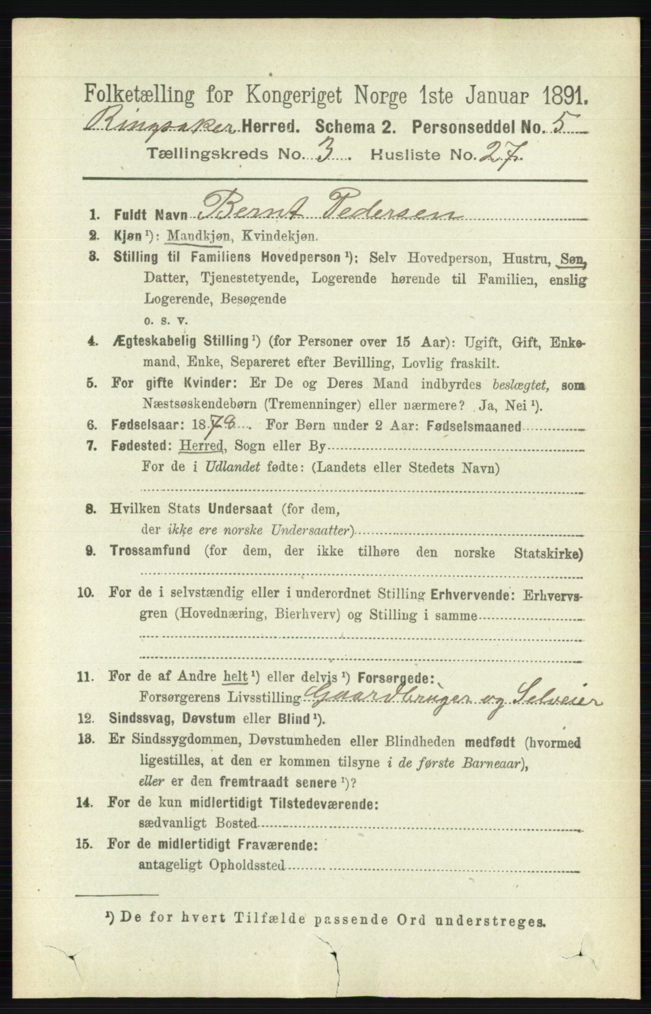 RA, 1891 census for 0412 Ringsaker, 1891, p. 1394