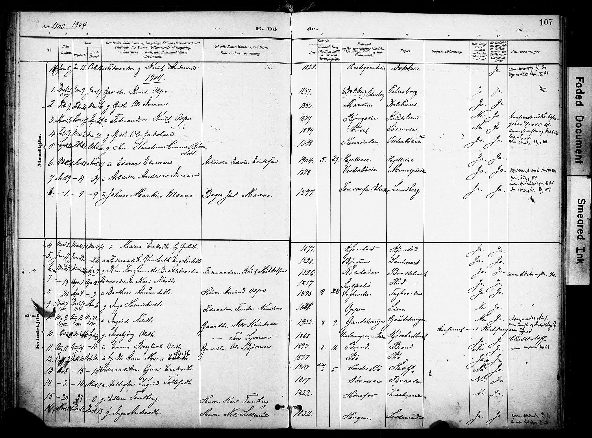 Nord-Aurdal prestekontor, SAH/PREST-132/H/Ha/Haa/L0014: Parish register (official) no. 14, 1896-1912, p. 107