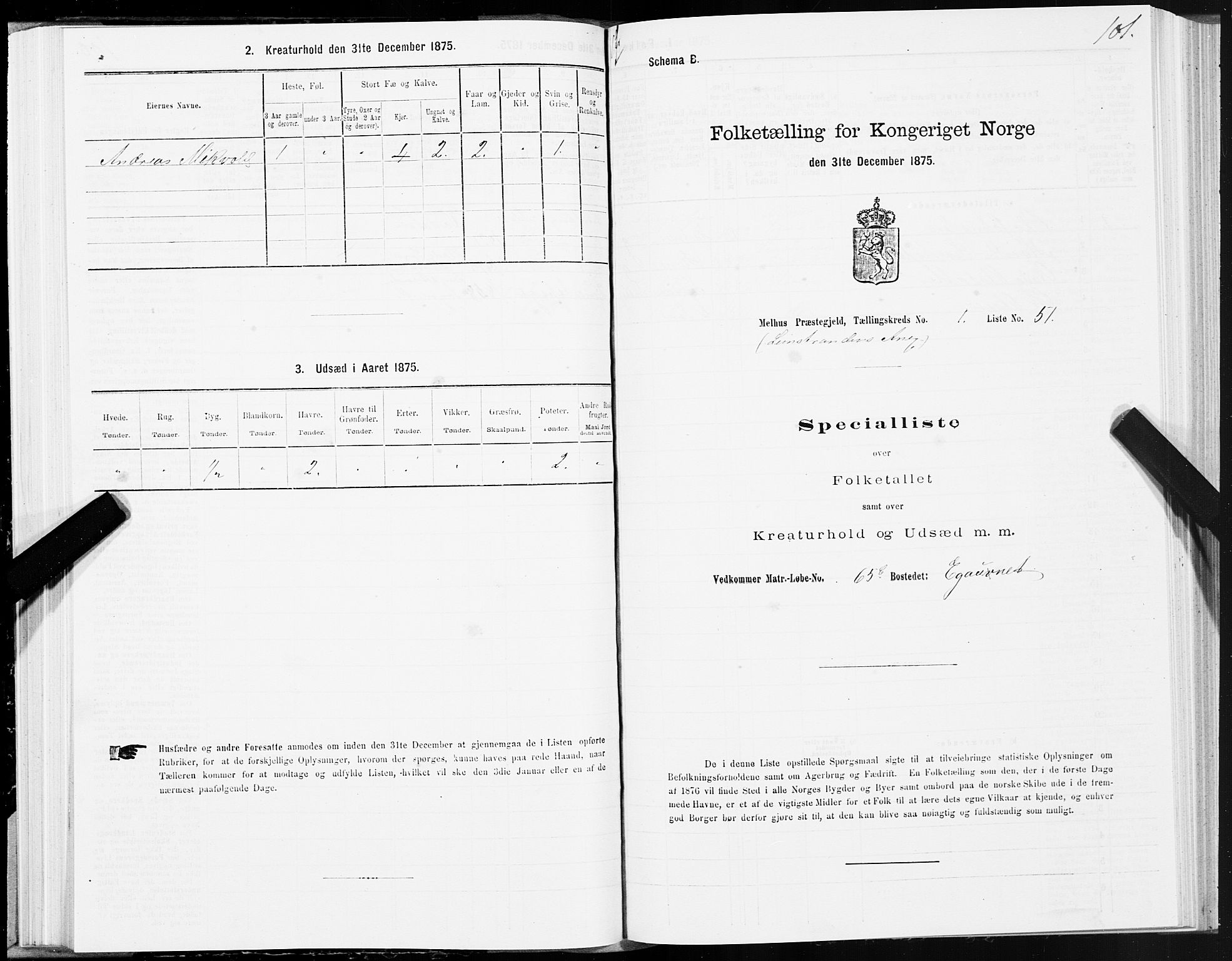 SAT, 1875 census for 1653P Melhus, 1875, p. 8101