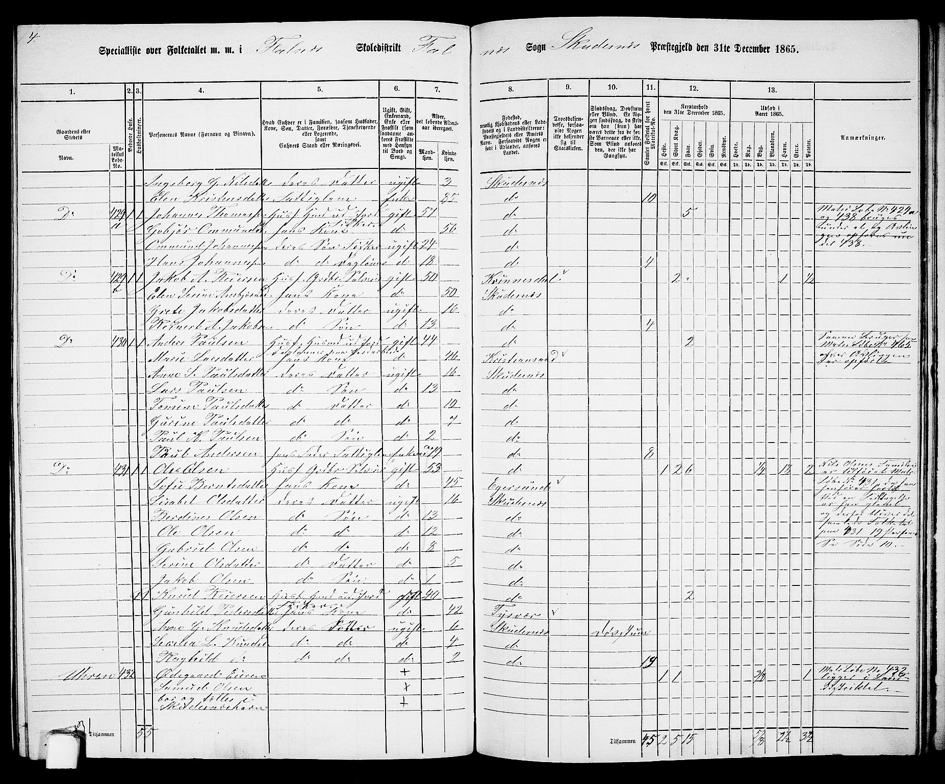 RA, 1865 census for Skudenes, 1865, p. 170