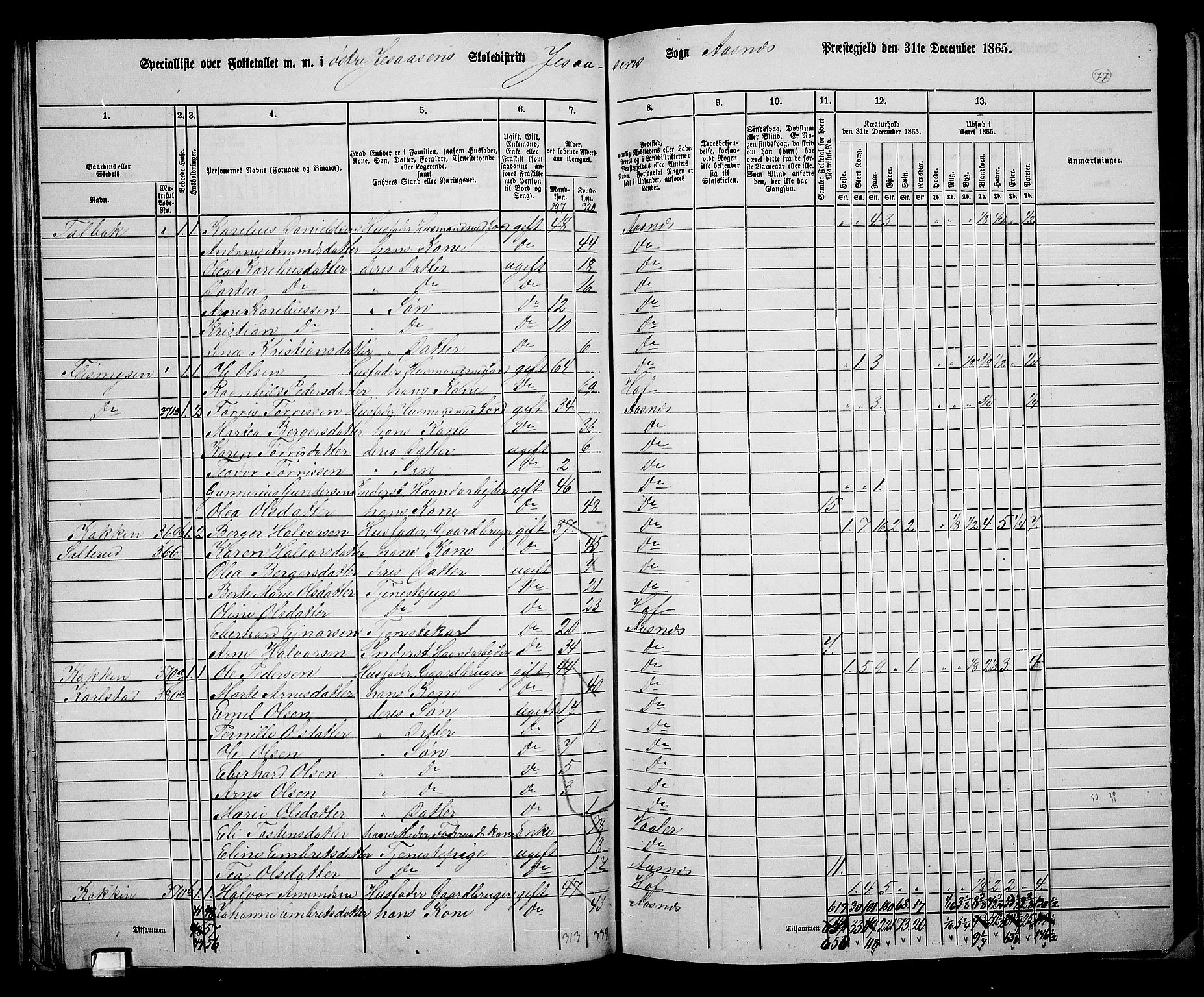 RA, 1865 census for Åsnes, 1865, p. 73