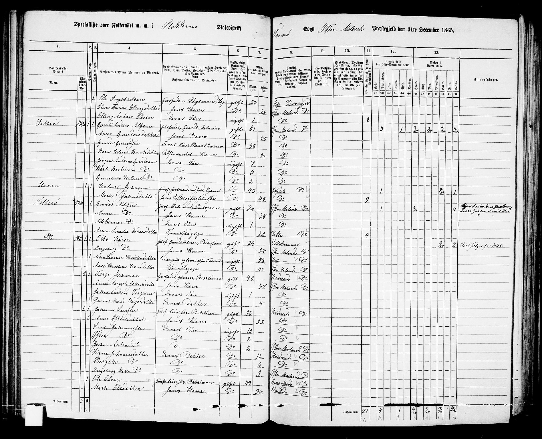 RA, 1865 census for Austre Moland, 1865, p. 119