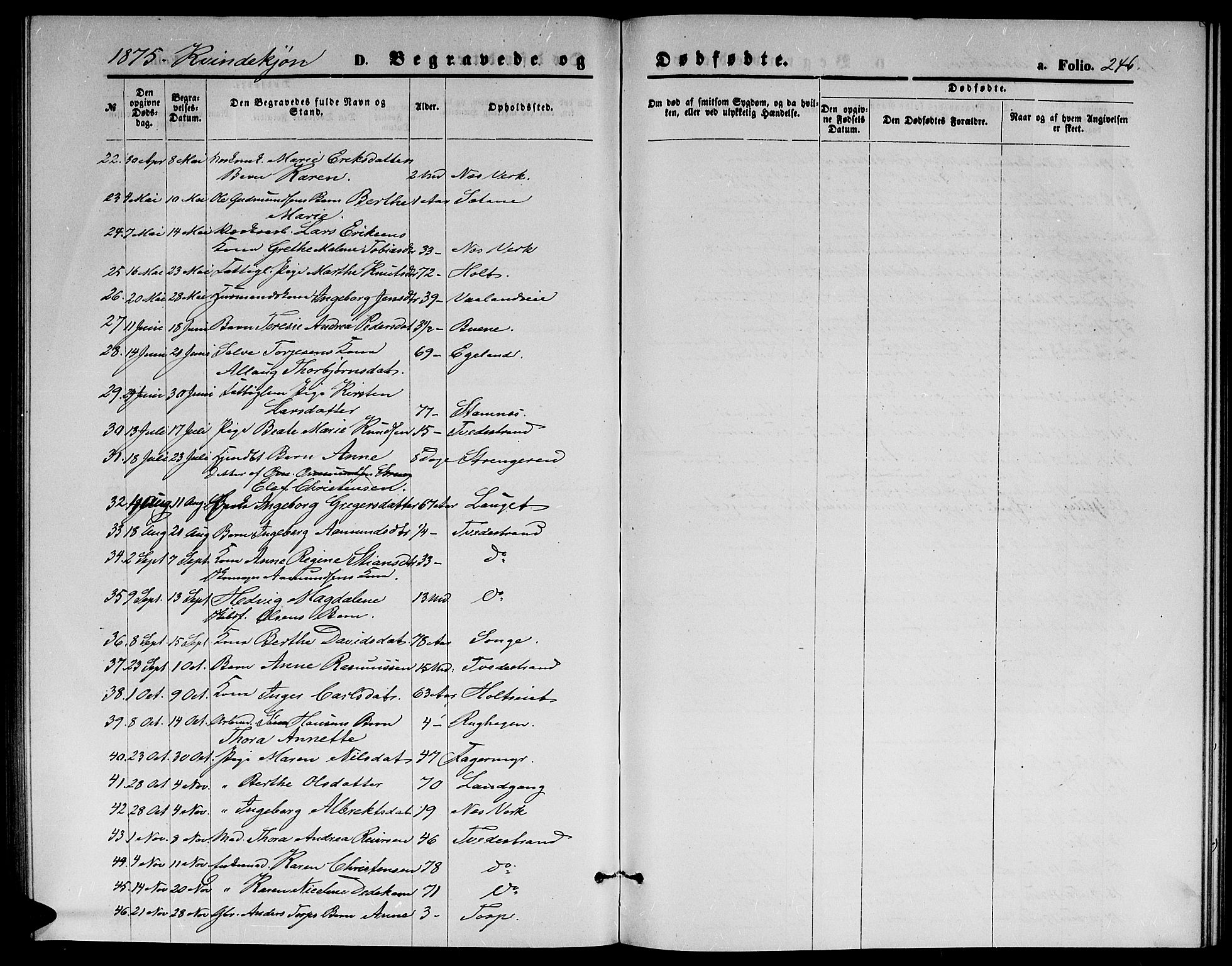 Holt sokneprestkontor, AV/SAK-1111-0021/F/Fb/L0009: Parish register (copy) no. B 9, 1871-1883, p. 246