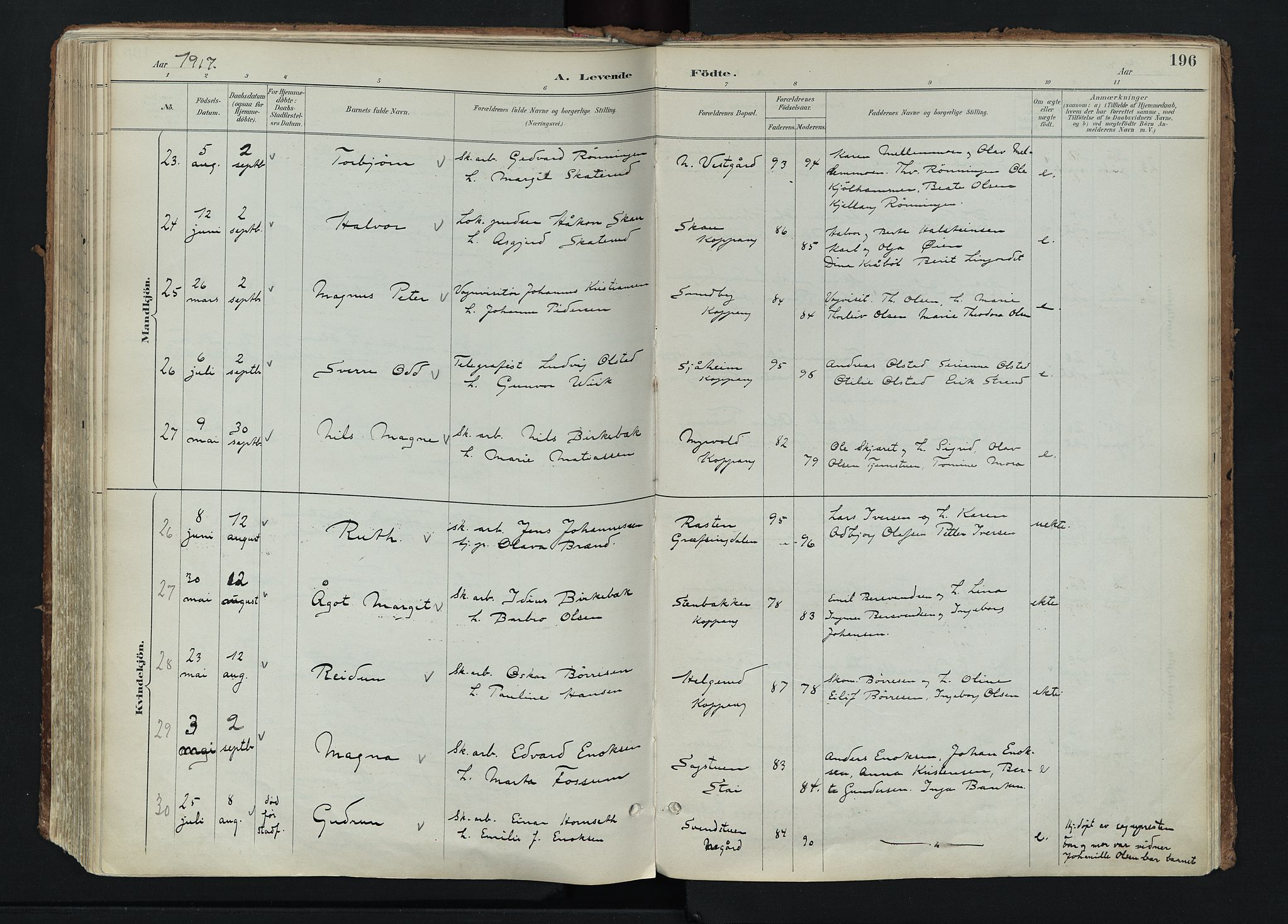 Stor-Elvdal prestekontor, AV/SAH-PREST-052/H/Ha/Haa/L0004: Parish register (official) no. 4, 1890-1922, p. 196