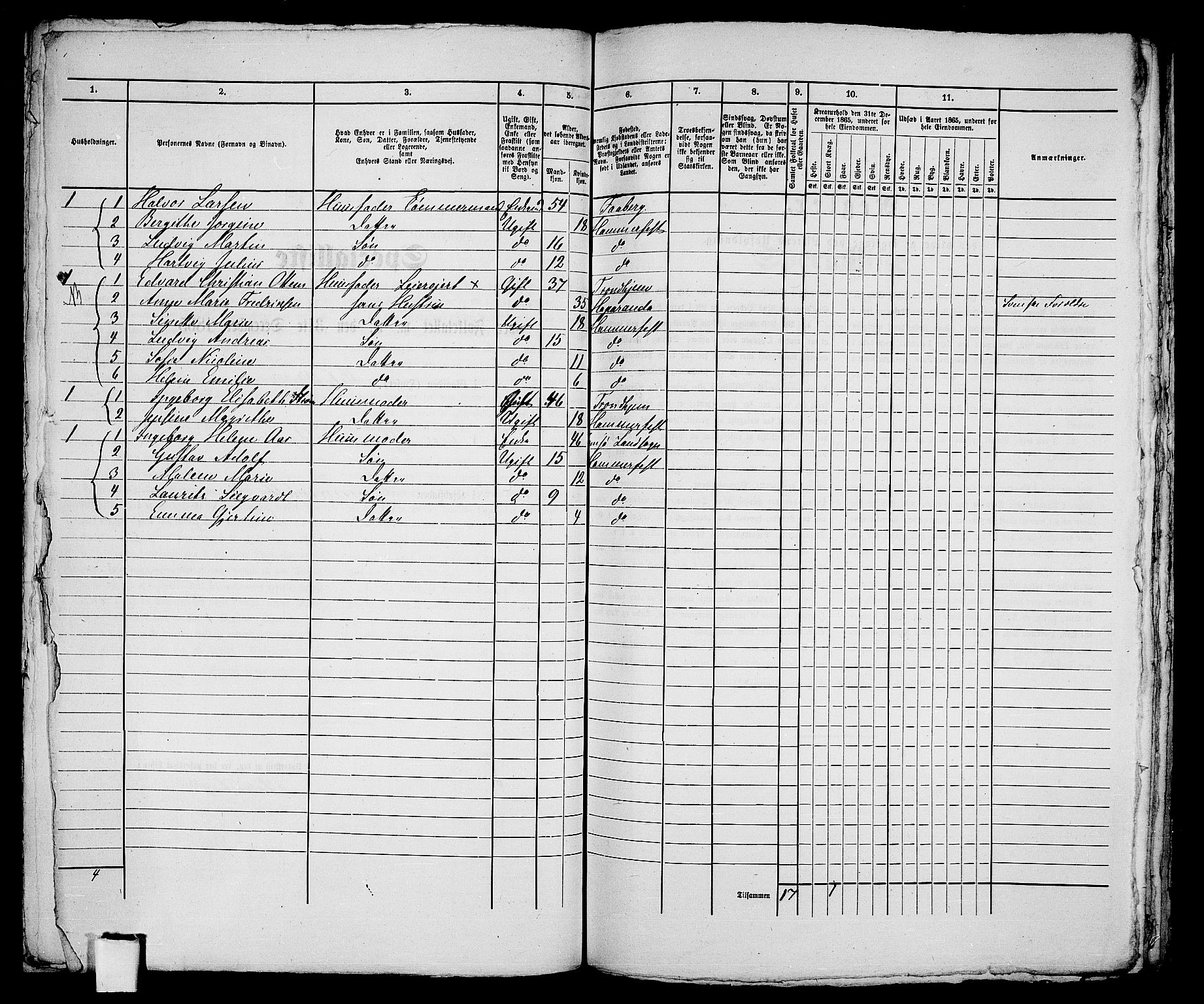RA, 1865 census for Hammerfest/Hammerfest, 1865, p. 214