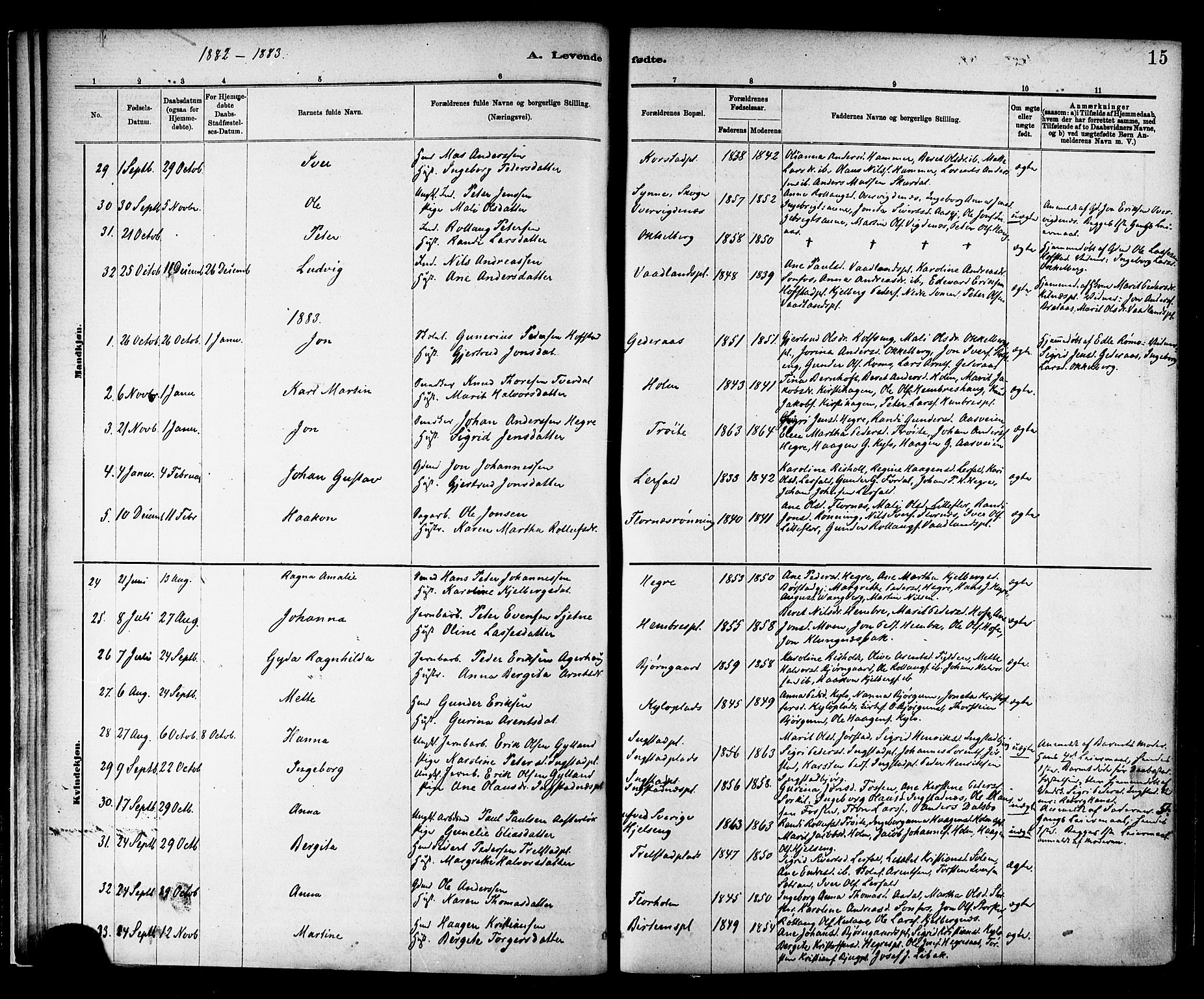 Ministerialprotokoller, klokkerbøker og fødselsregistre - Nord-Trøndelag, SAT/A-1458/703/L0030: Parish register (official) no. 703A03, 1880-1892, p. 15