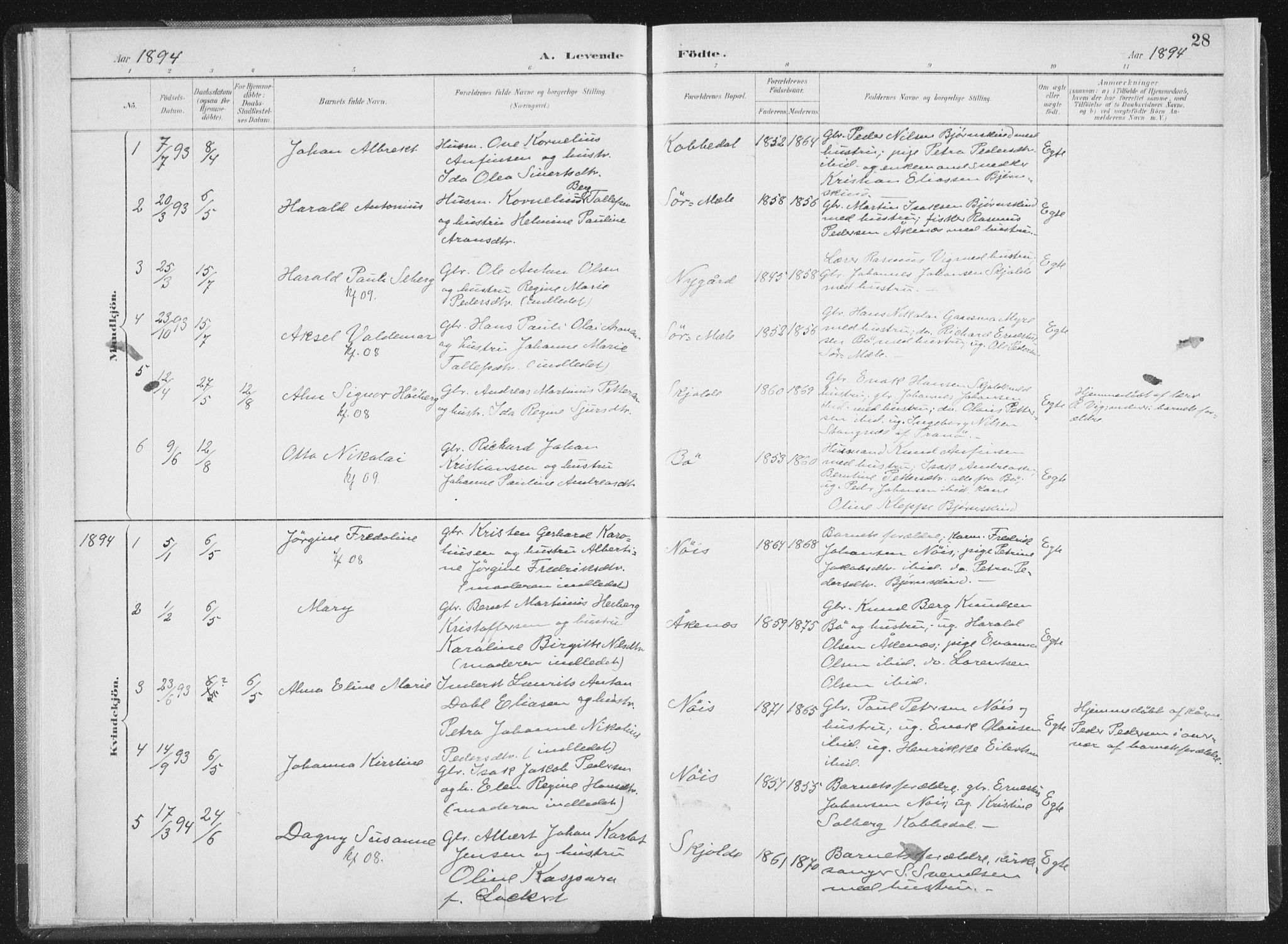 Ministerialprotokoller, klokkerbøker og fødselsregistre - Nordland, SAT/A-1459/898/L1422: Parish register (official) no. 898A02, 1887-1908, p. 28