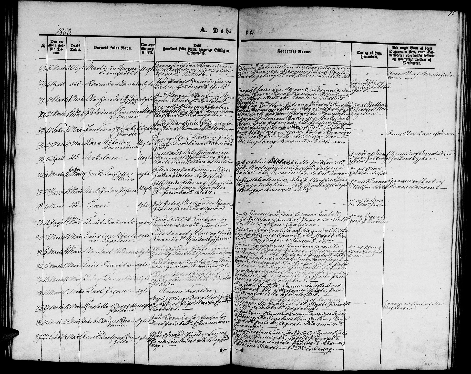 Ministerialprotokoller, klokkerbøker og fødselsregistre - Møre og Romsdal, AV/SAT-A-1454/528/L0427: Parish register (copy) no. 528C08, 1855-1864, p. 75