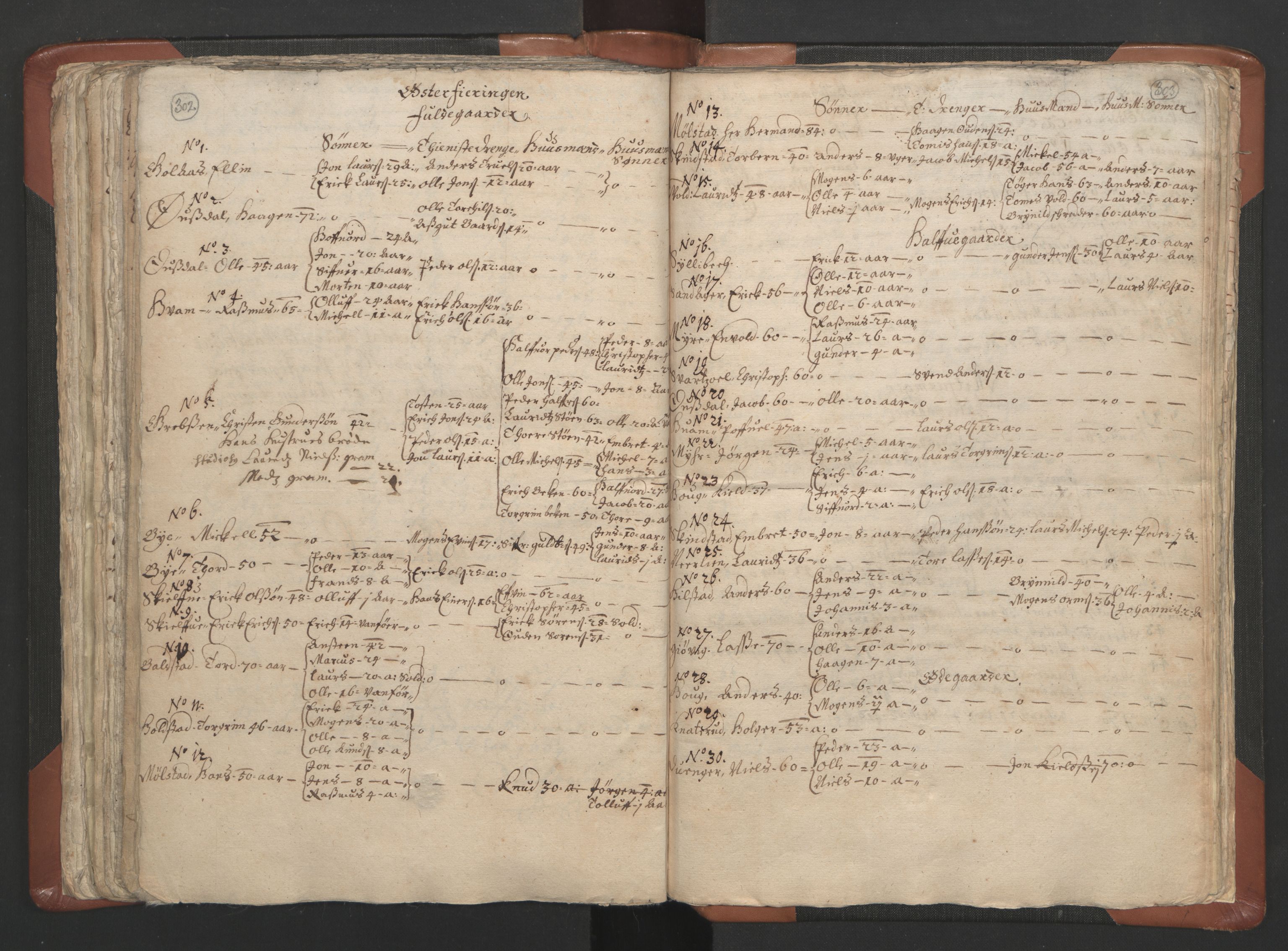 RA, Vicar's Census 1664-1666, no. 5: Hedmark deanery, 1664-1666, p. 302-303