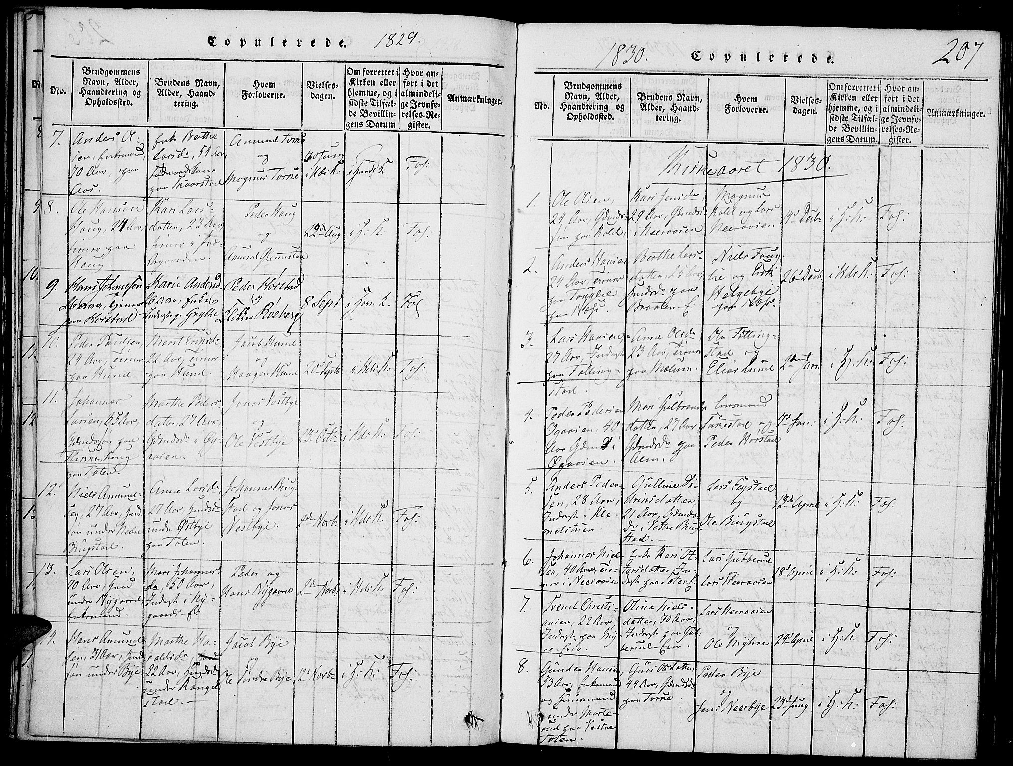 Vardal prestekontor, SAH/PREST-100/H/Ha/Haa/L0004: Parish register (official) no. 4, 1814-1831, p. 207