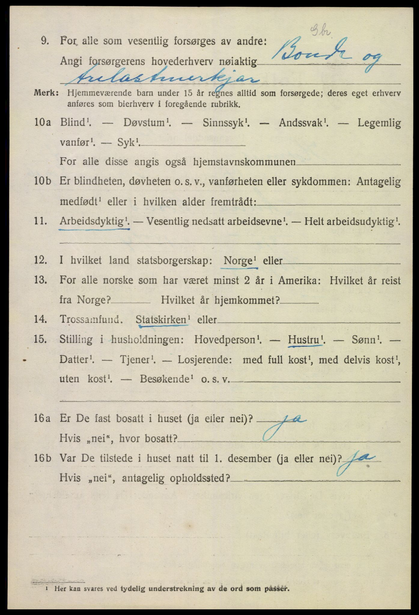 SAK, 1920 census for Hornnes, 1920, p. 1306