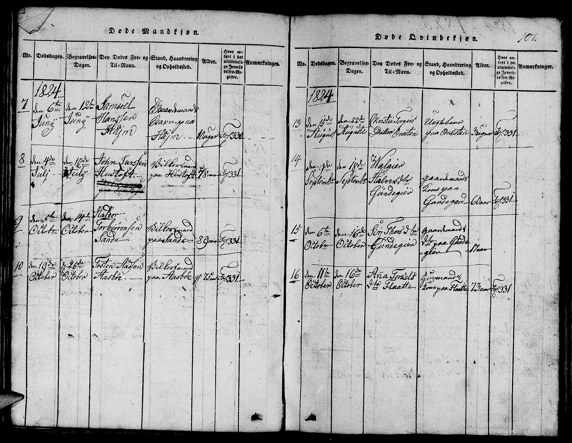 Etne sokneprestembete, AV/SAB-A-75001/H/Hab: Parish register (copy) no. C 1, 1816-1841, p. 101