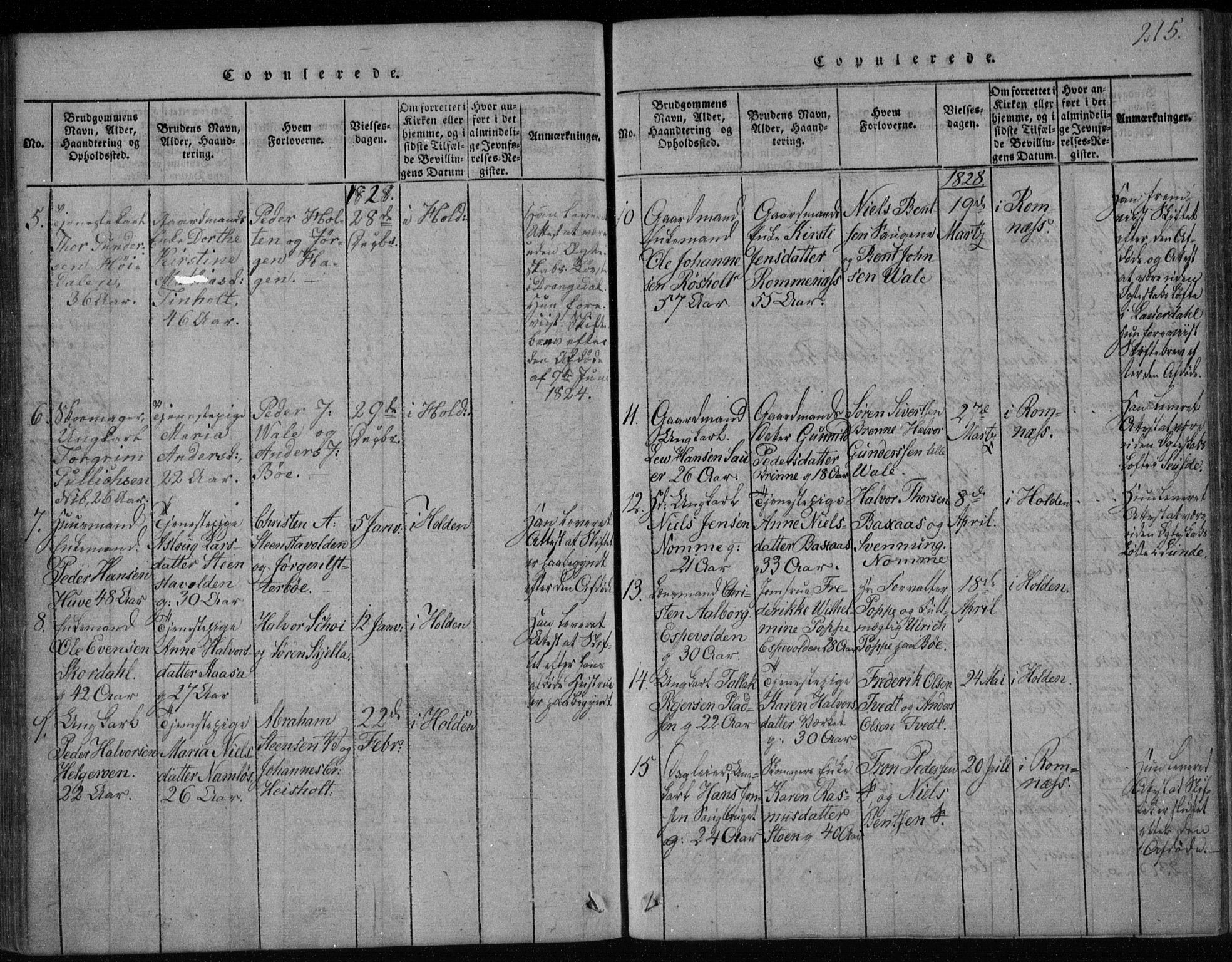 Holla kirkebøker, SAKO/A-272/F/Fa/L0003: Parish register (official) no. 3, 1815-1830, p. 215
