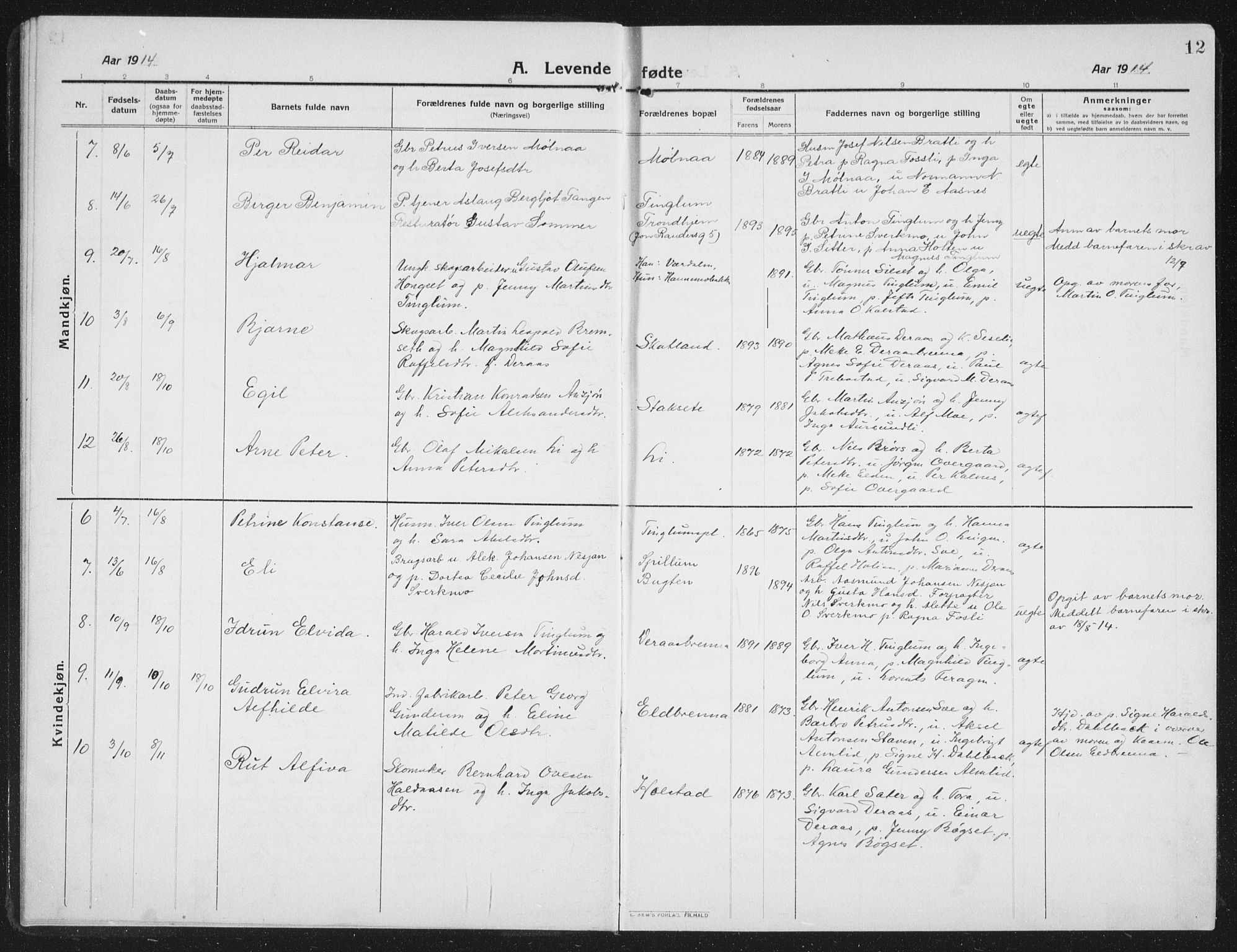 Ministerialprotokoller, klokkerbøker og fødselsregistre - Nord-Trøndelag, SAT/A-1458/742/L0413: Parish register (copy) no. 742C04, 1911-1938, p. 12
