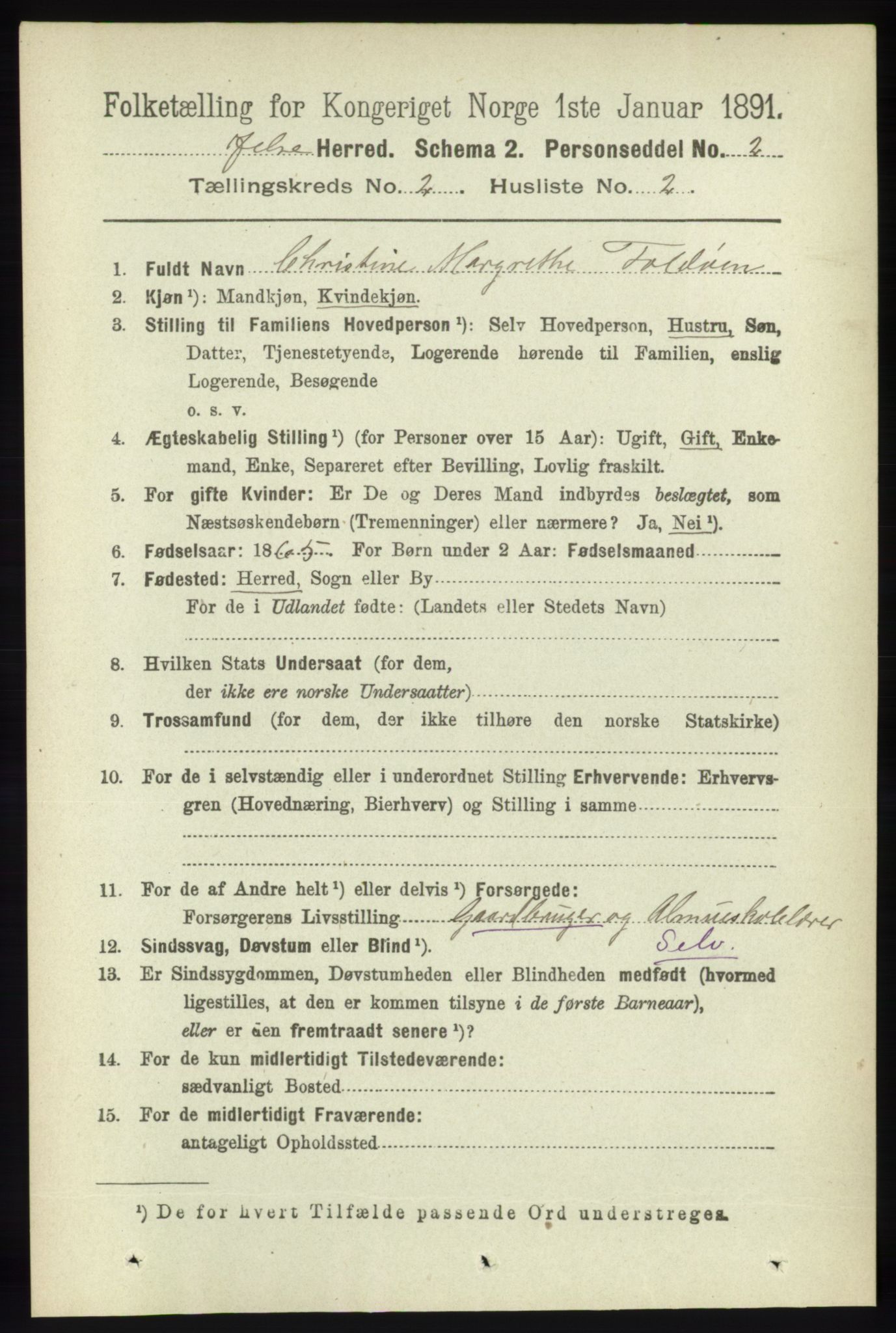 RA, 1891 census for 1138 Jelsa, 1891, p. 251