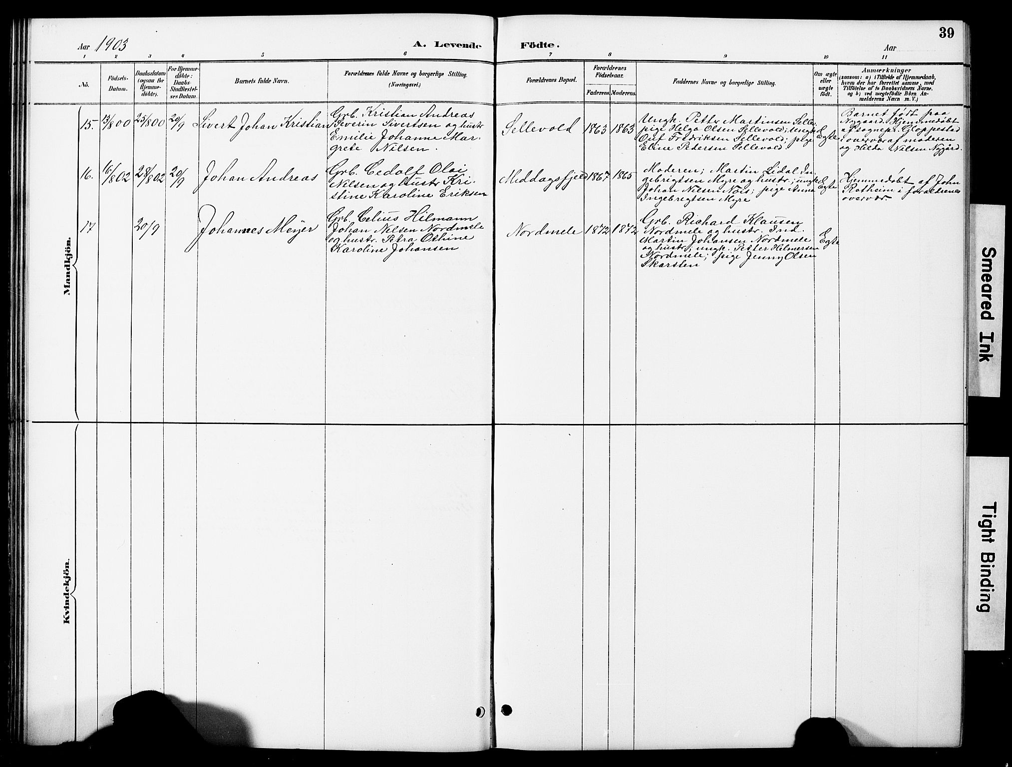 Ministerialprotokoller, klokkerbøker og fødselsregistre - Nordland, AV/SAT-A-1459/897/L1413: Parish register (copy) no. 897C03, 1887-1903, p. 39