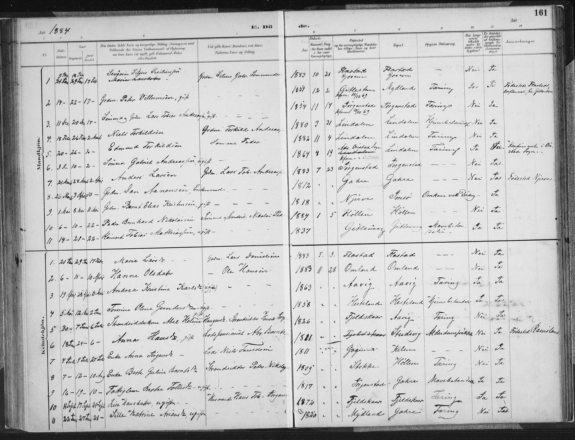 Sør-Audnedal sokneprestkontor, SAK/1111-0039/F/Fa/Faa/L0004: Parish register (official) no. A 4, 1884-1909, p. 161