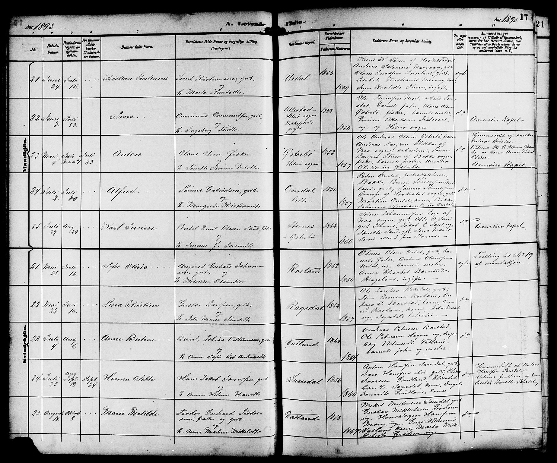 Sokndal sokneprestkontor, AV/SAST-A-101808: Parish register (copy) no. B 6, 1892-1907, p. 17