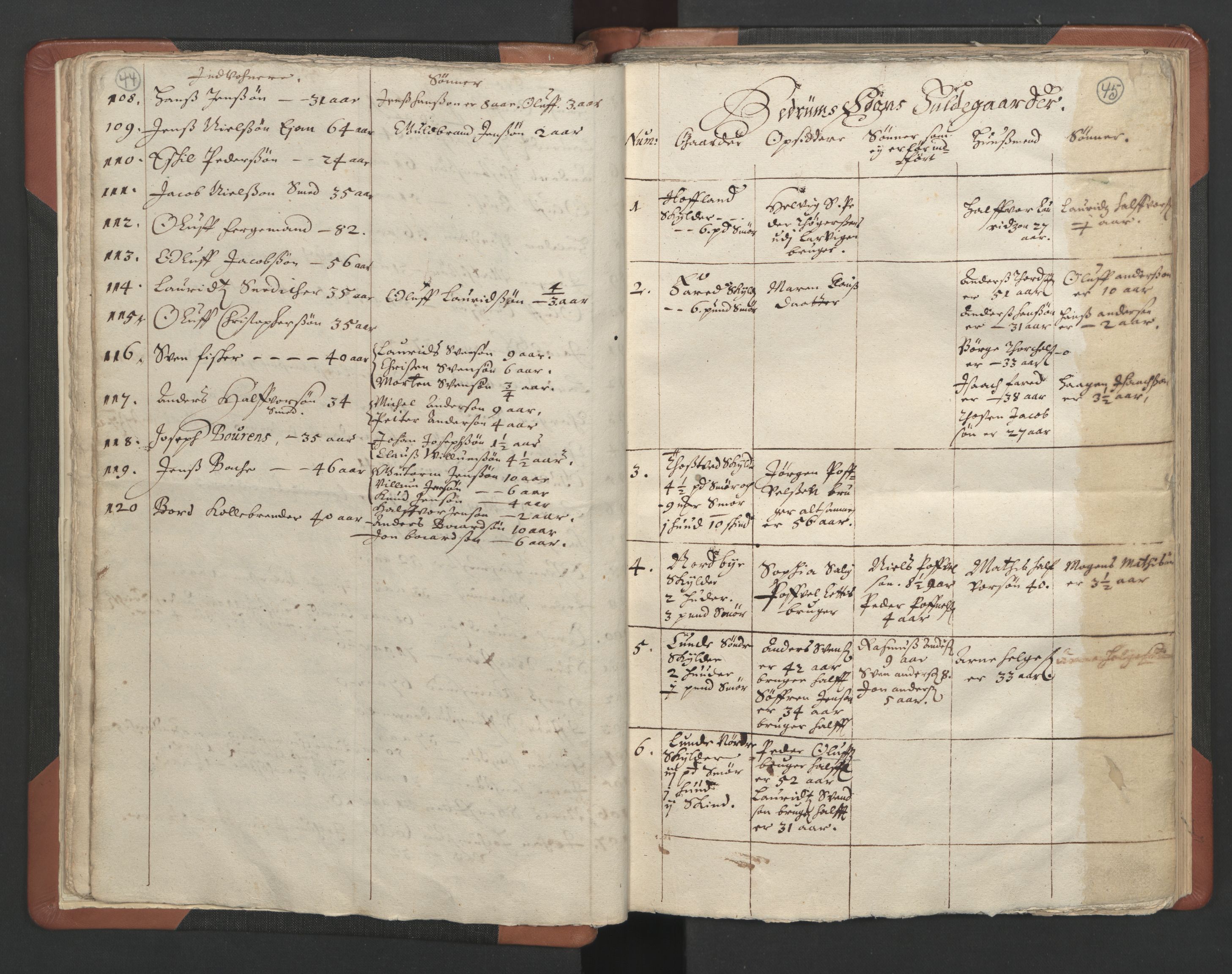 RA, Vicar's Census 1664-1666, no. 11: Brunlanes deanery, 1664-1666, p. 44-45