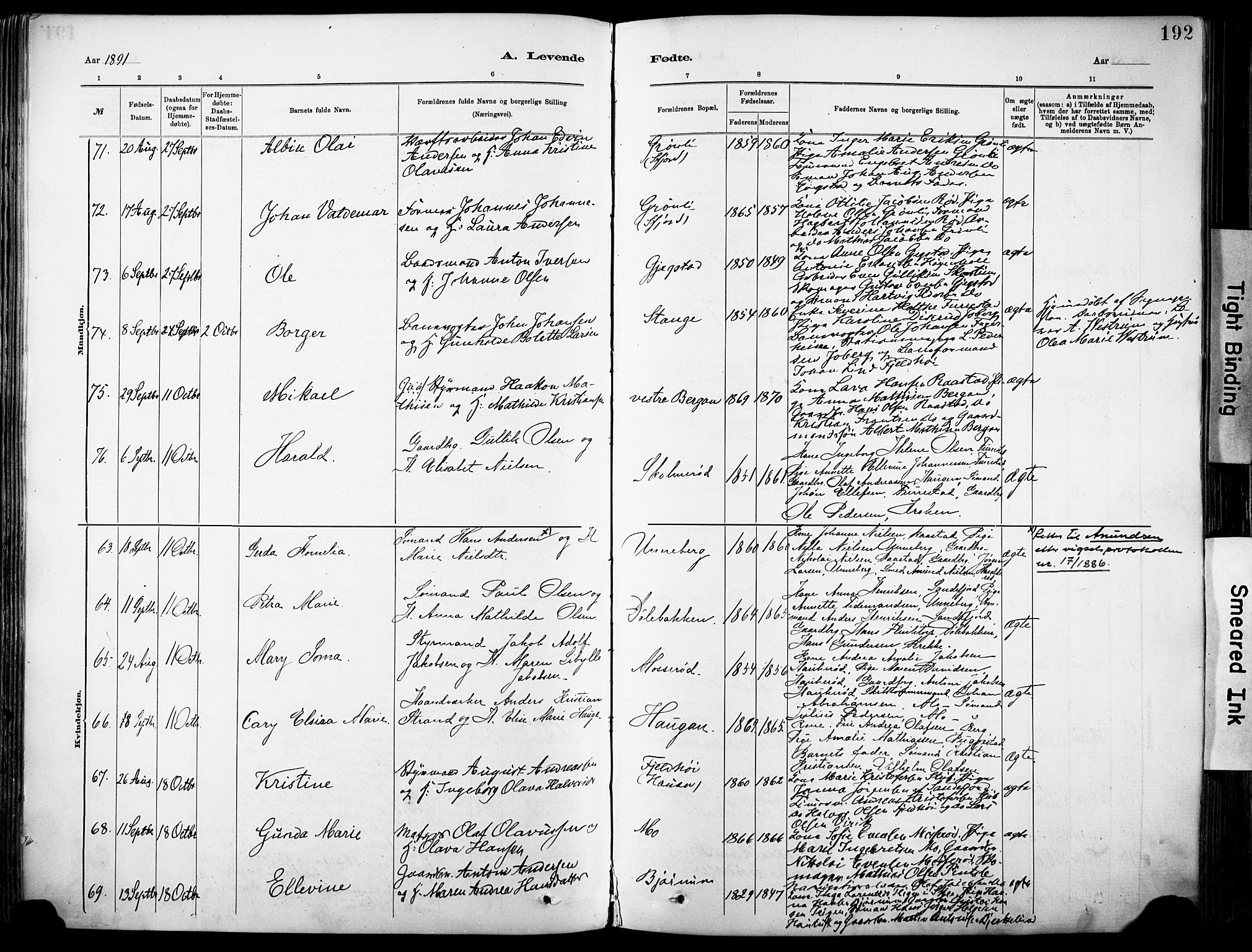 Sandar kirkebøker, AV/SAKO-A-243/F/Fa/L0012: Parish register (official) no. 12, 1883-1895, p. 192