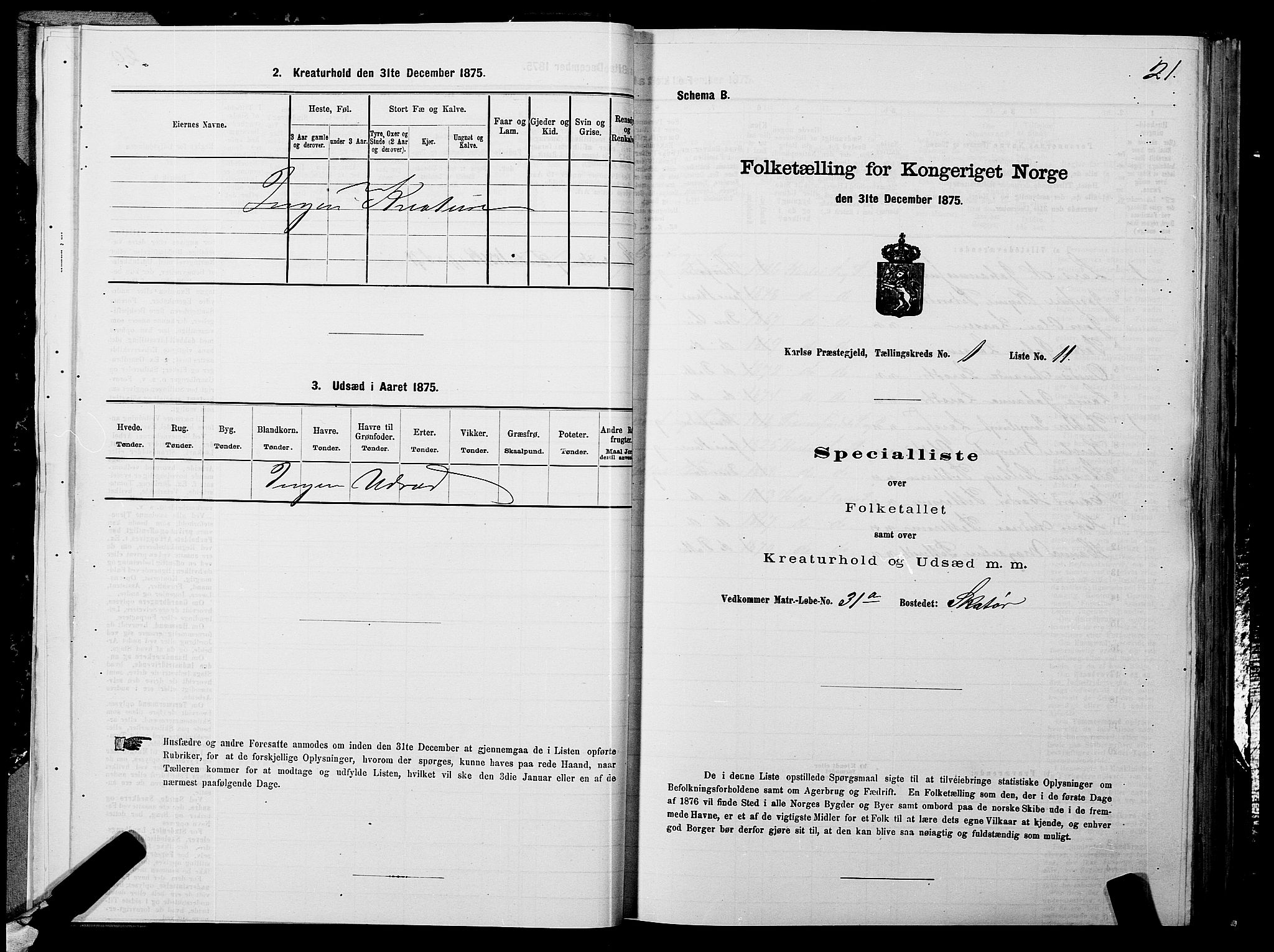 SATØ, 1875 census for 1936P Karlsøy, 1875, p. 1021