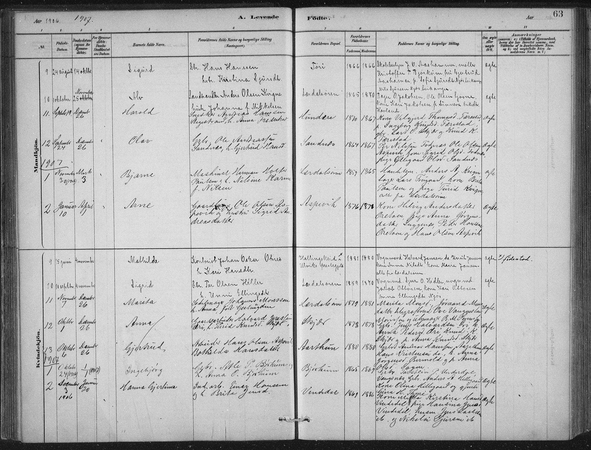 Lærdal sokneprestembete, AV/SAB-A-81201: Parish register (official) no. D  1, 1878-1908, p. 63