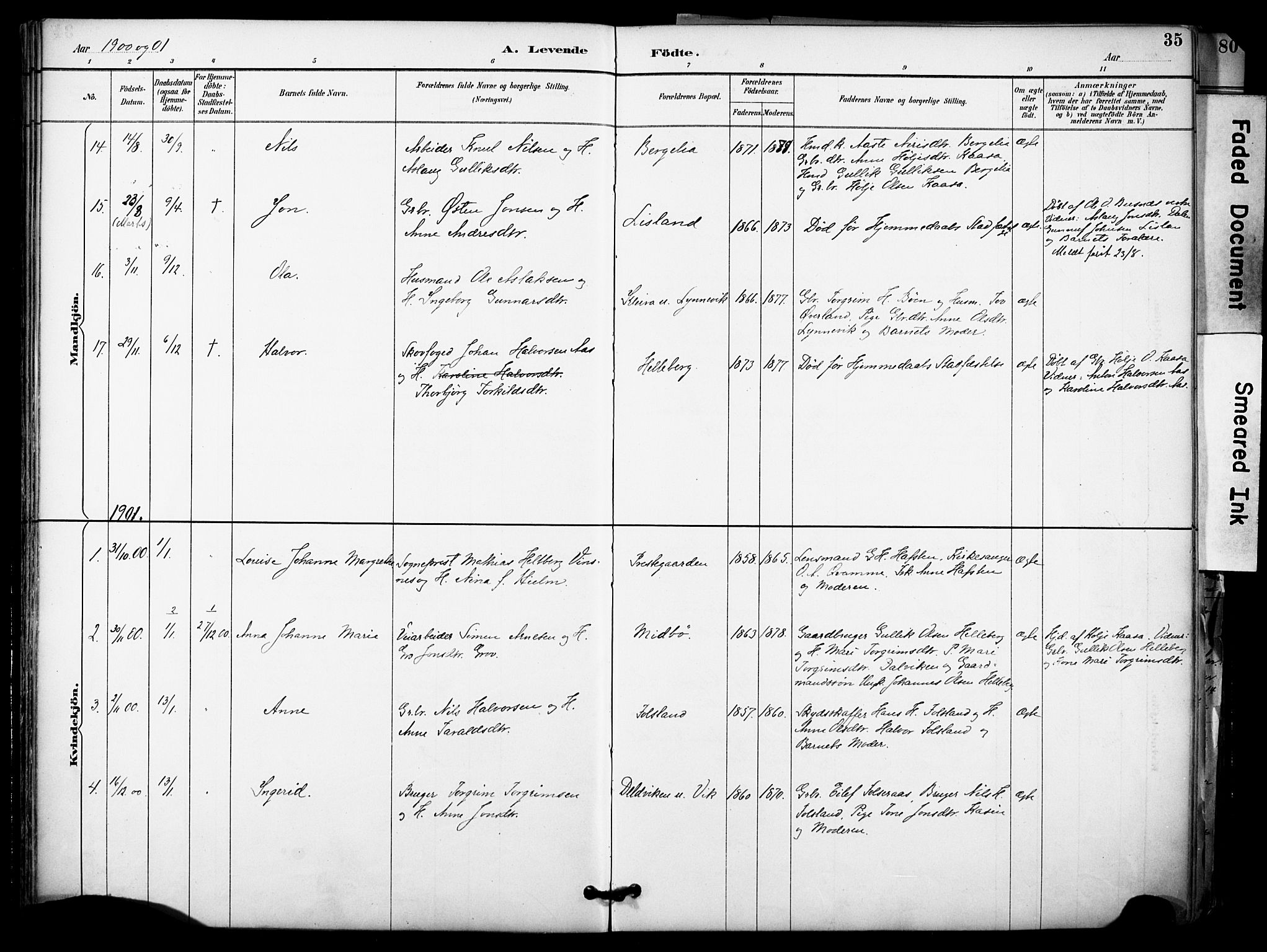 Gransherad kirkebøker, SAKO/A-267/F/Fa/L0005: Parish register (official) no. I 5, 1887-1916, p. 35